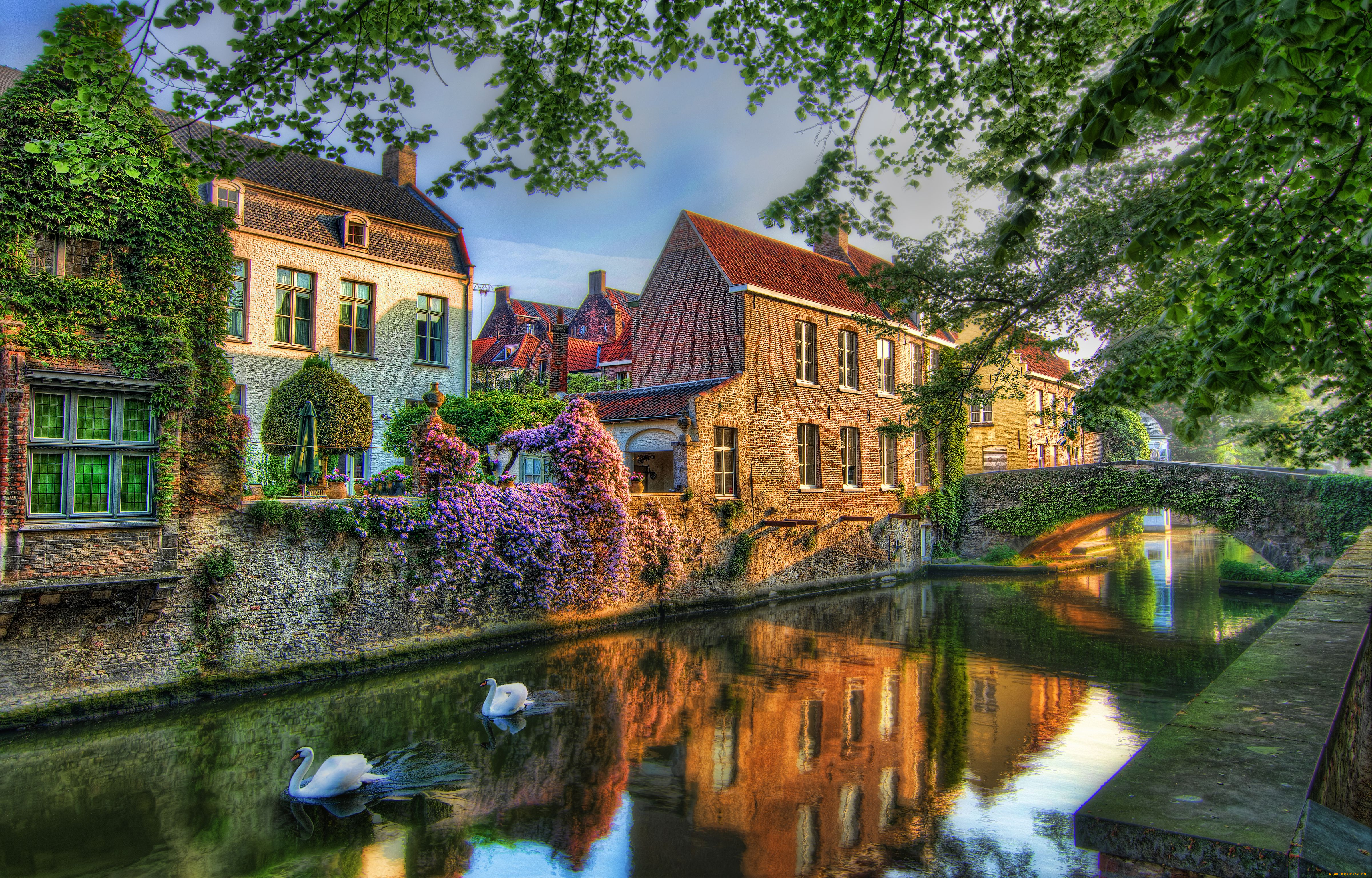 bruges, belgium, города, брюгге, бельгия, мост, канал, лебеди