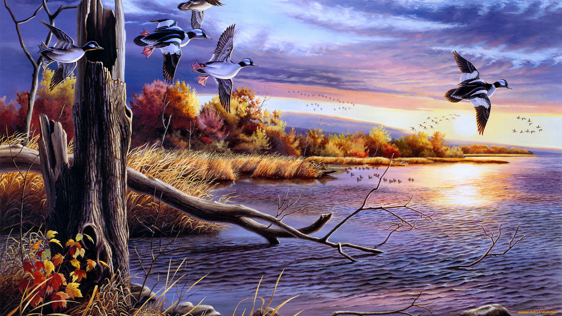 autumn, waters, рисованные, живопись, осень, озеро, утки