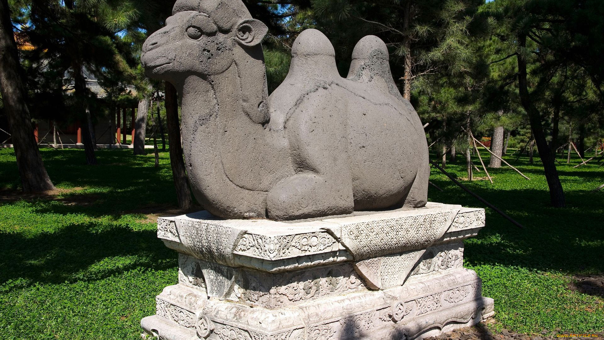 разное, рельефы, статуи, музейные, экспонаты, верблюд