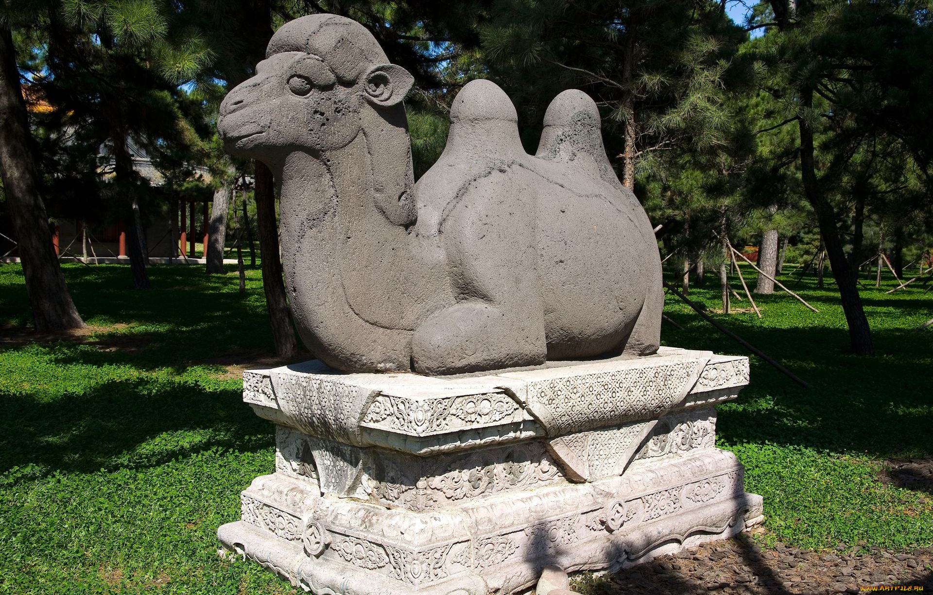 разное, рельефы, статуи, музейные, экспонаты, верблюд