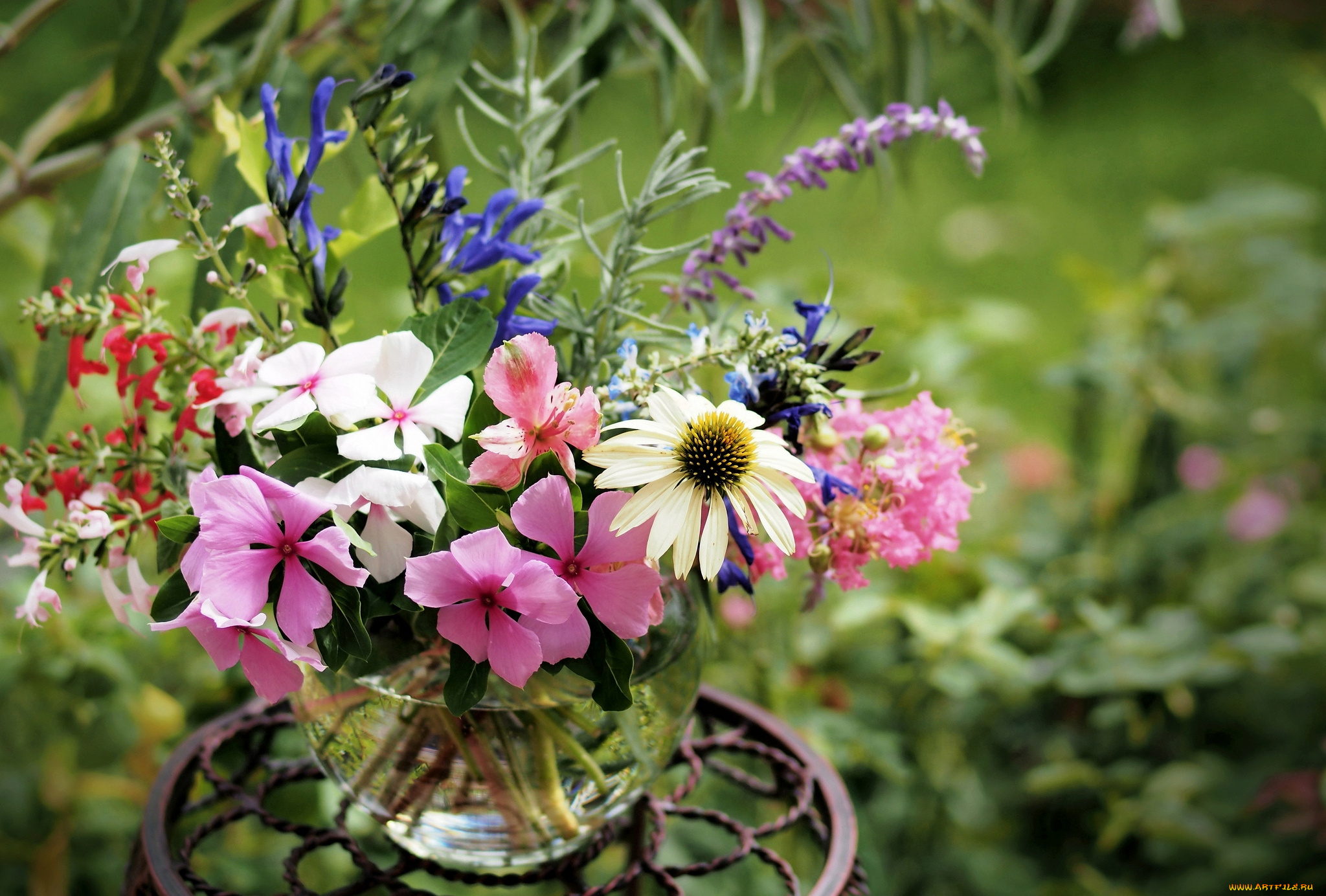 цветы, букеты, композиции, ваза, эхинацея, бальзамины