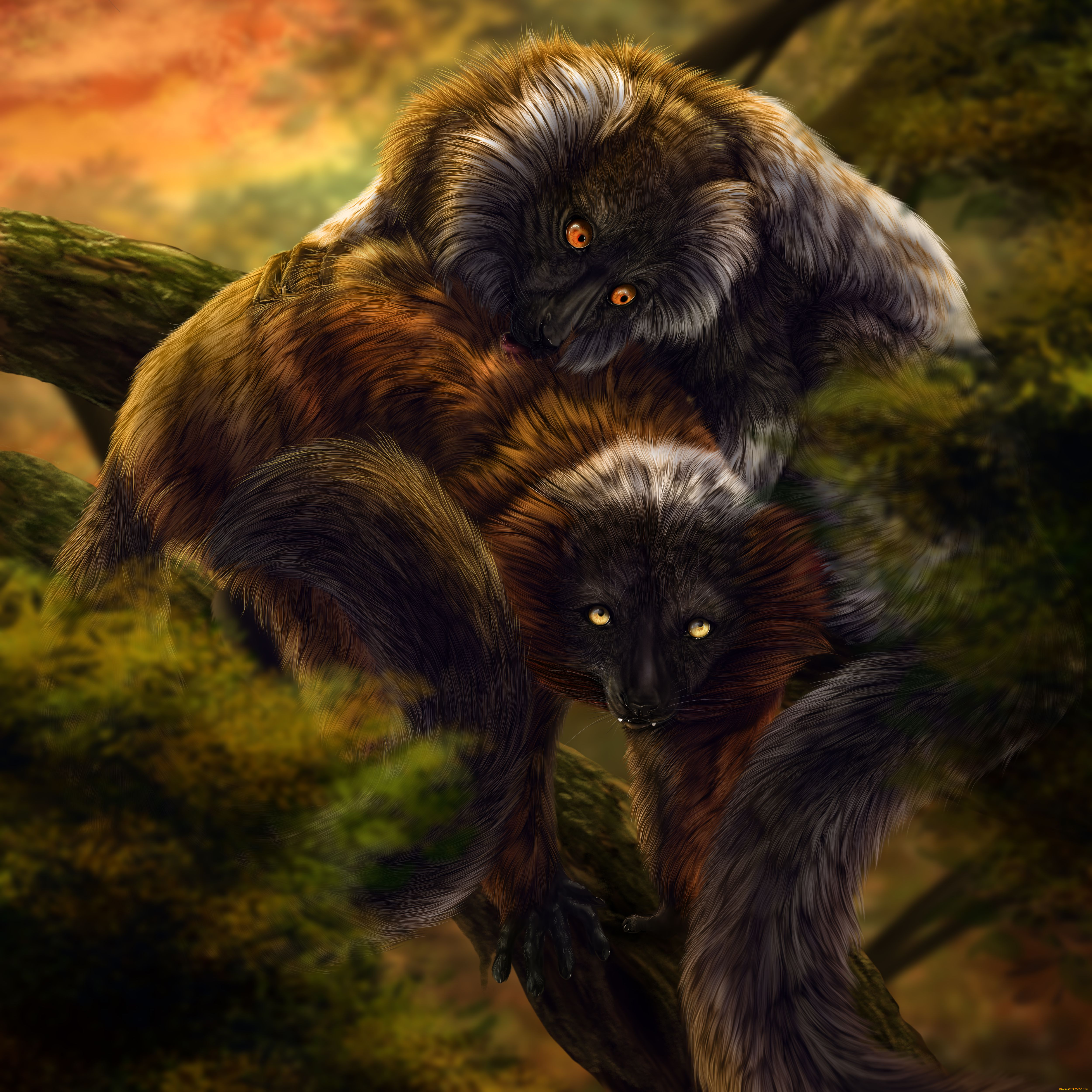 рисованные, животные, лемуры