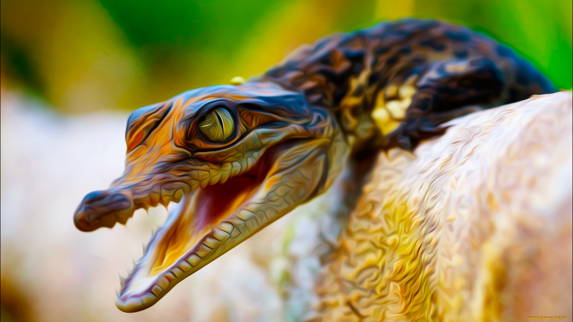 разное, компьютерный, дизайн, малыш, крокодильчик