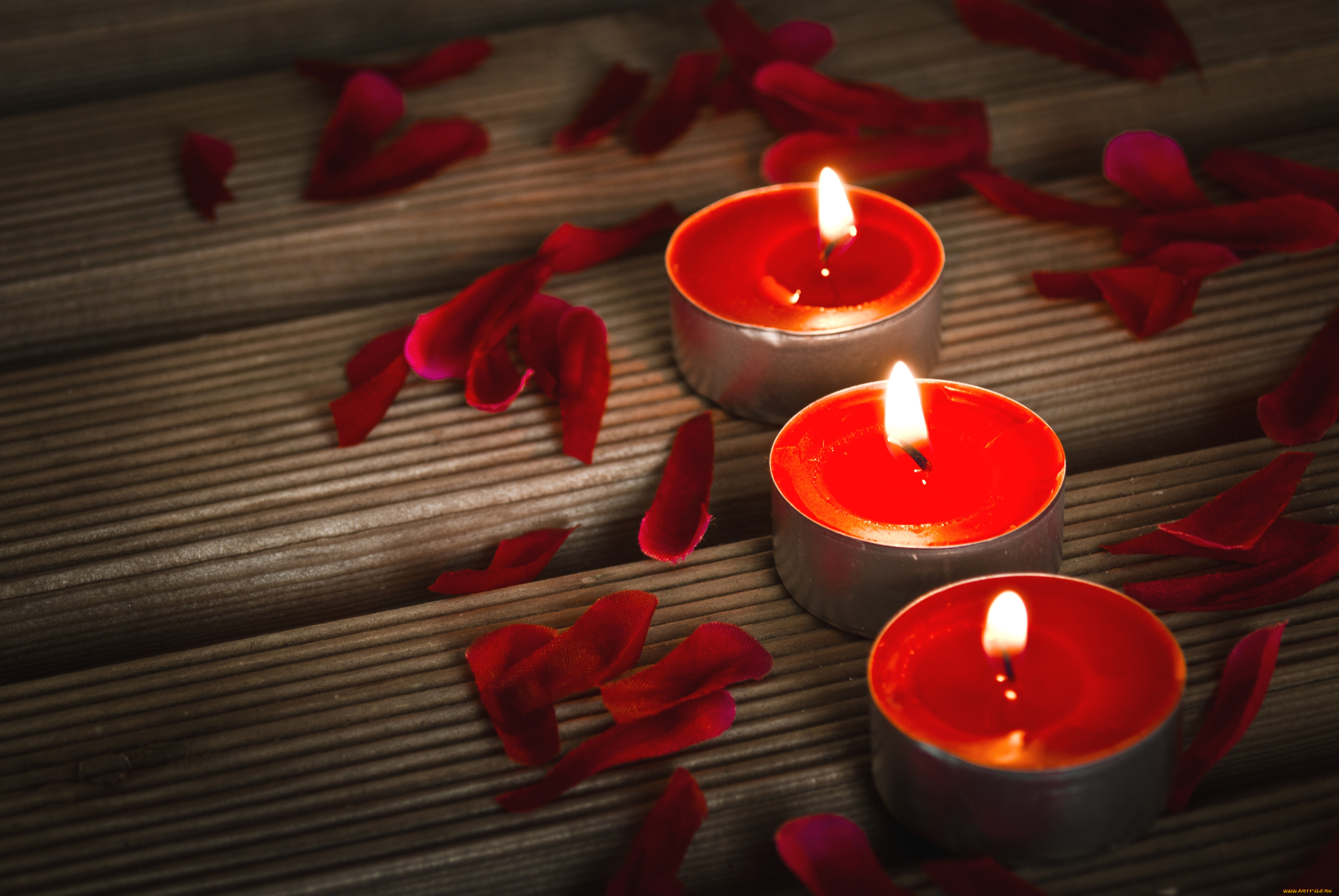 разное, свечи, пламя, лепестки