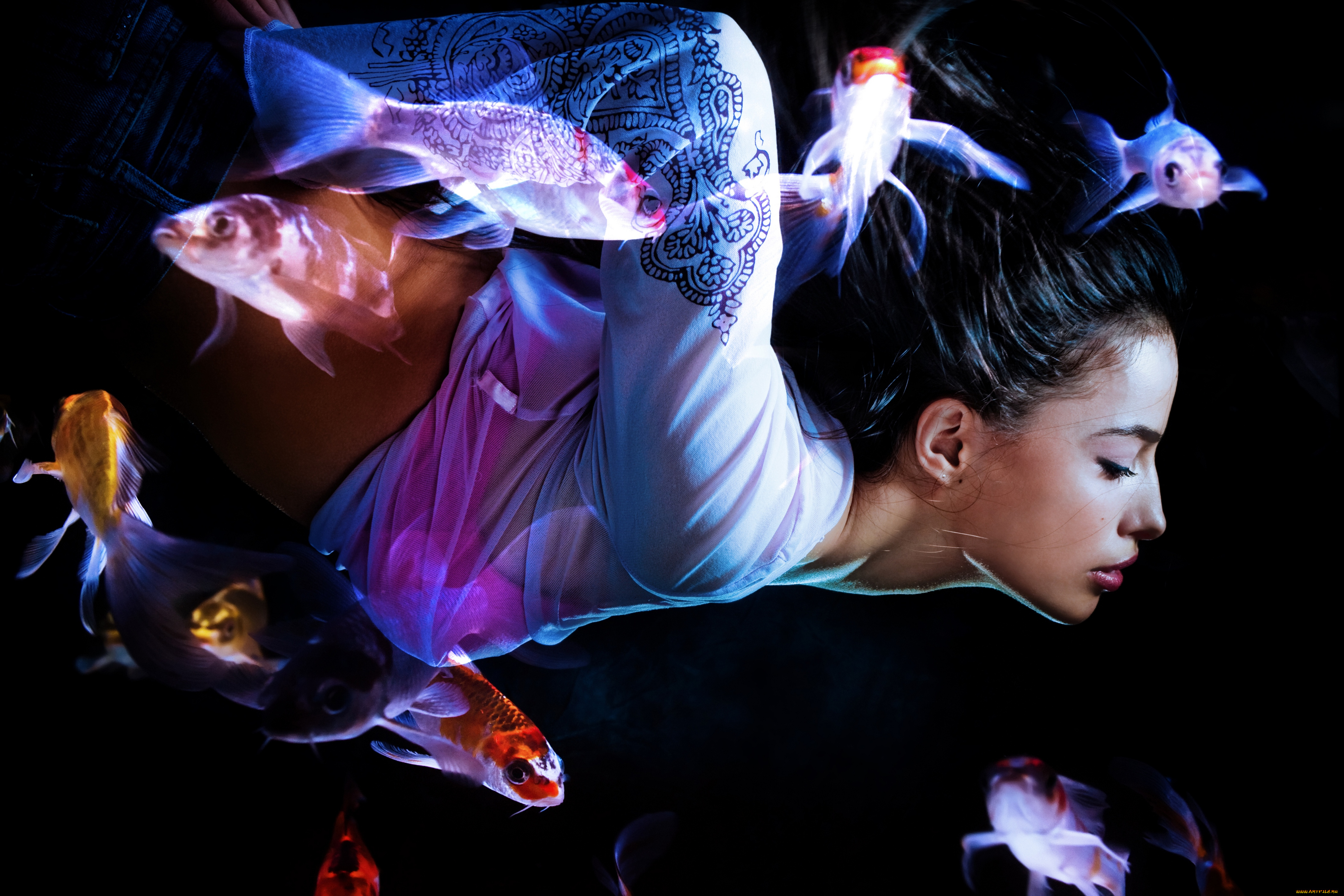 разное, компьютерный, дизайн, девушка, рыбки