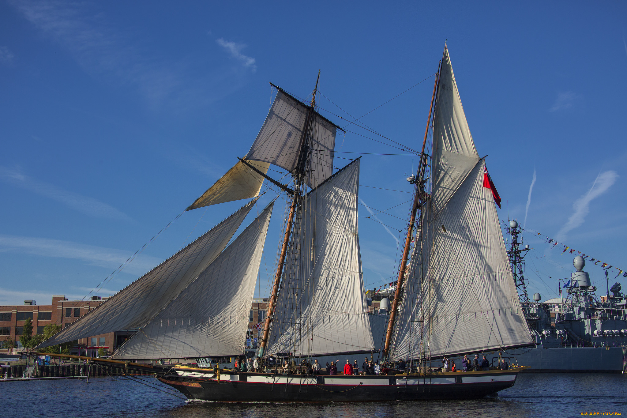 lynx, корабли, парусники, шхуна, парусная