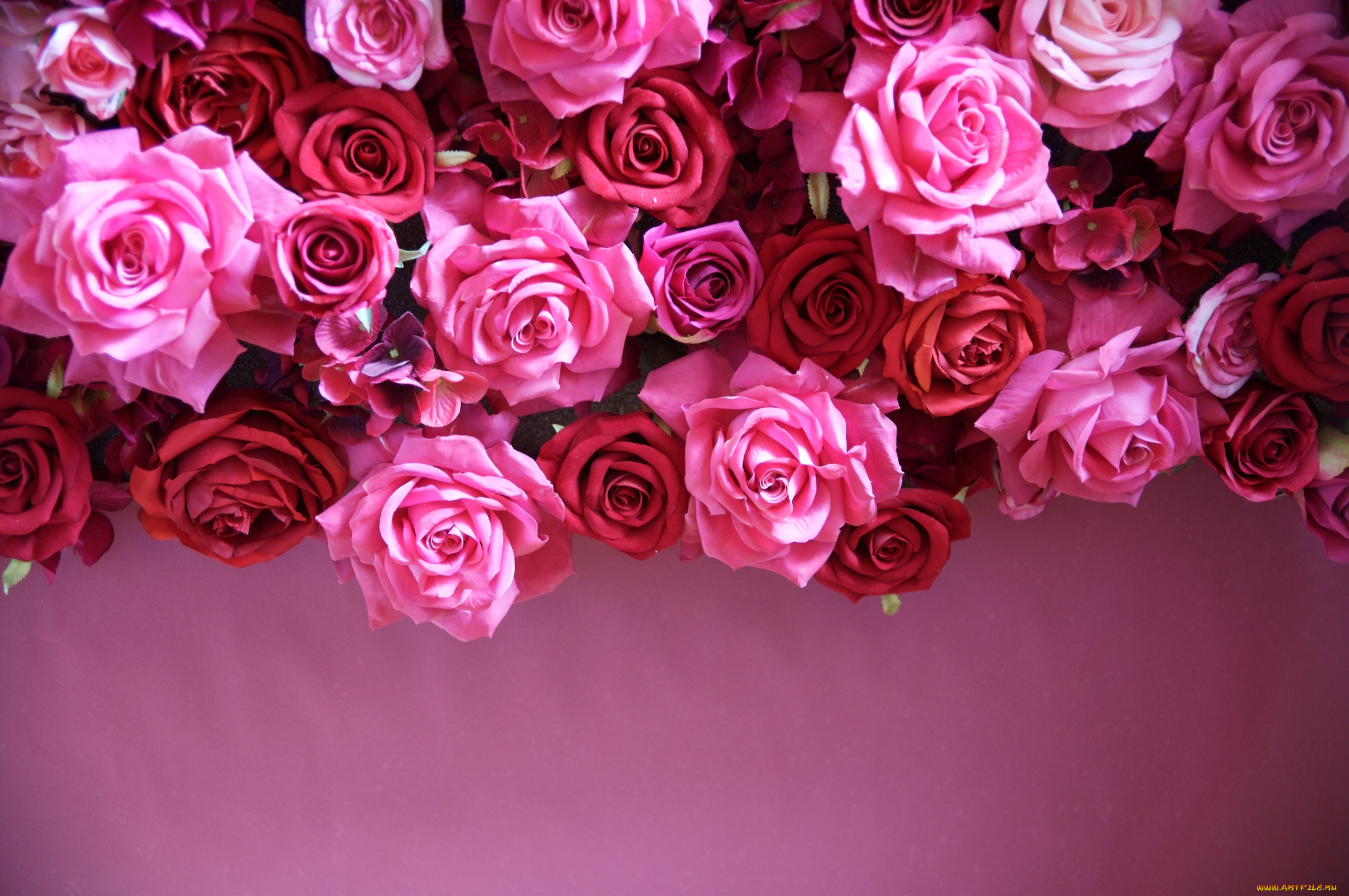 разное, ремесла, , поделки, , рукоделие, leaves, petals, bud, rose, цветение, листья, лепестки, бутон, роза, blossoms