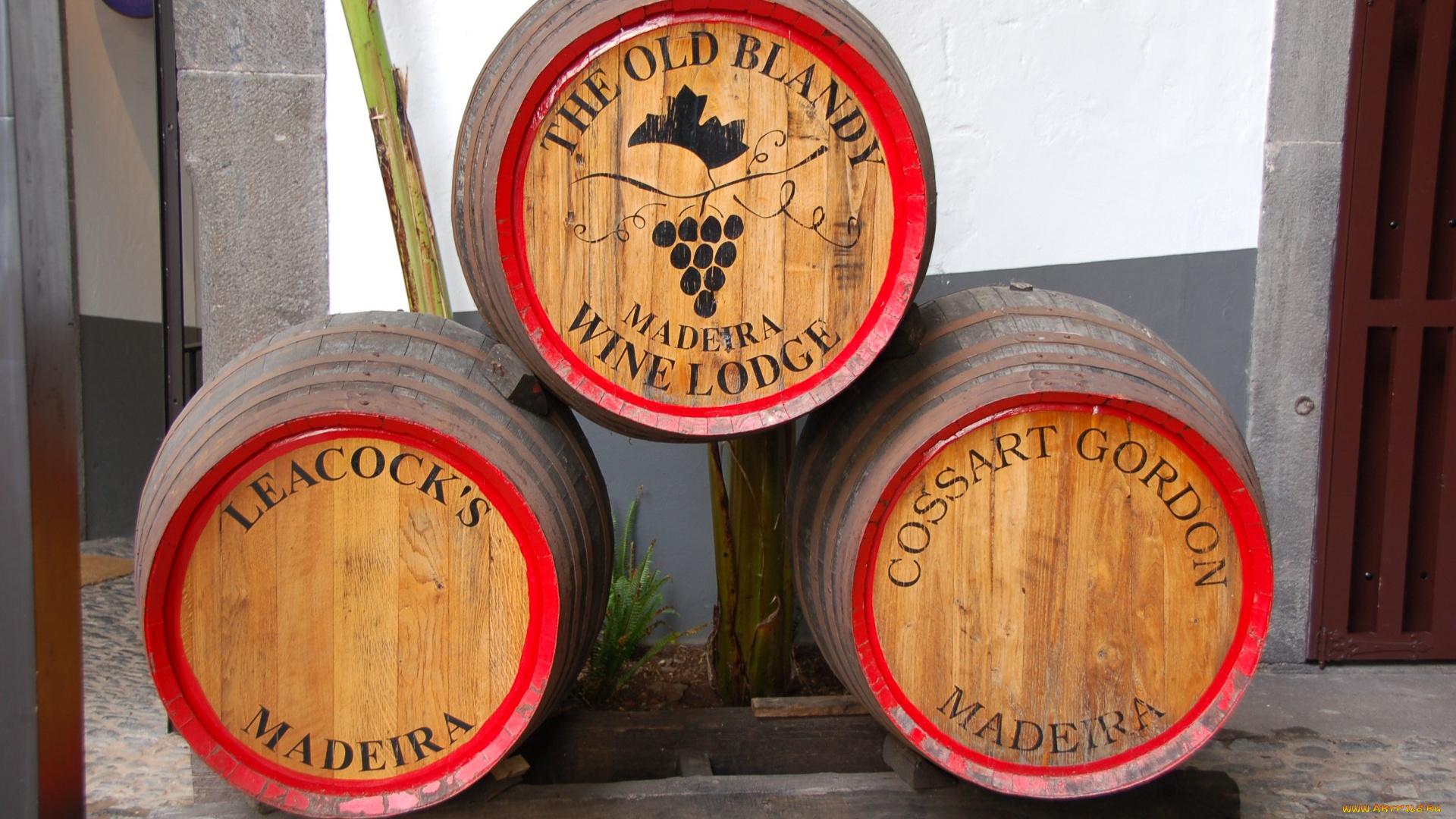 бренды, бренды, напитков, , разное, вино