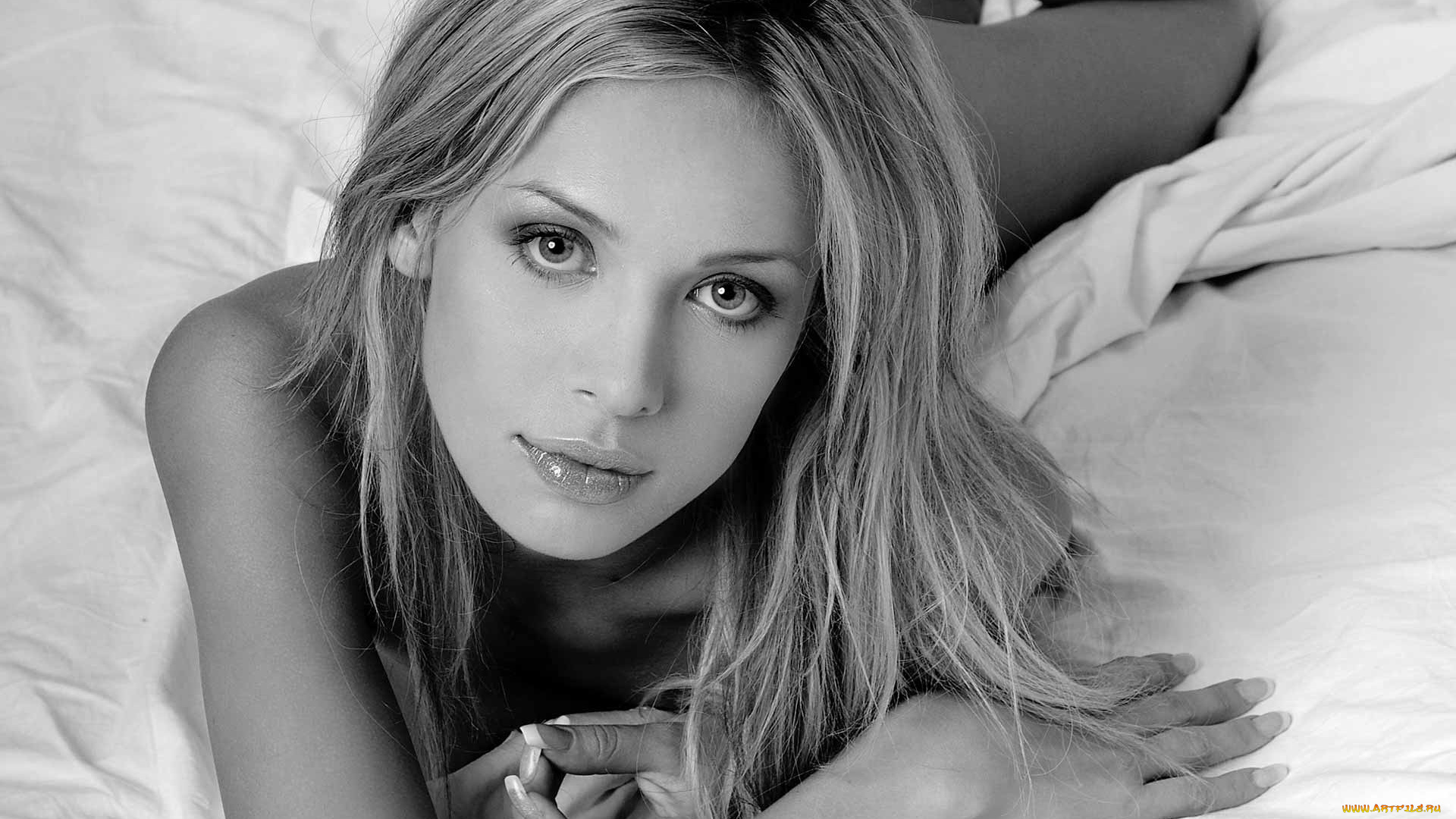 девушки, анастасия, браун, блондинка, модель, черно-белая, постель, взгляд