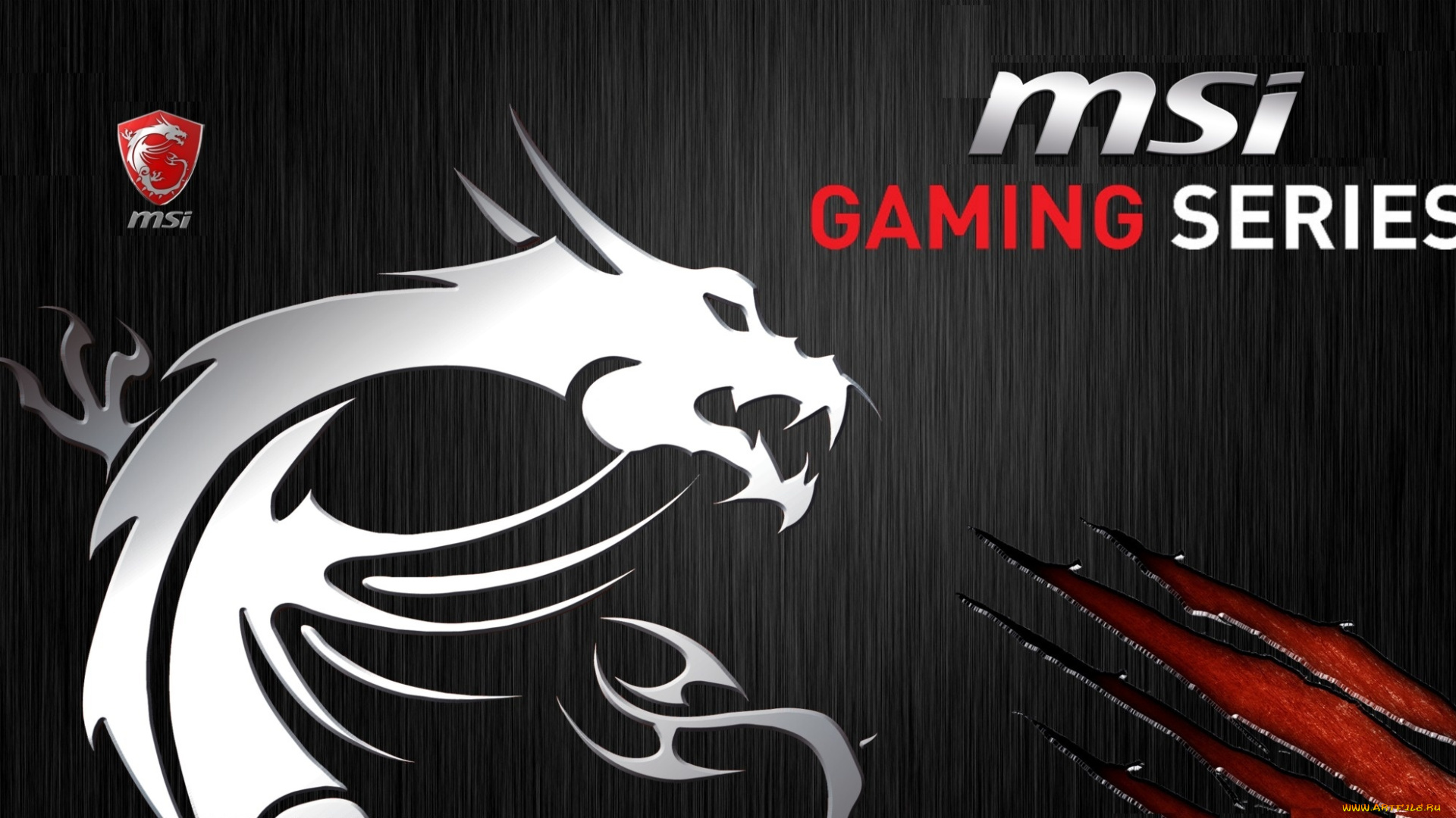 msi, бренды, дракон