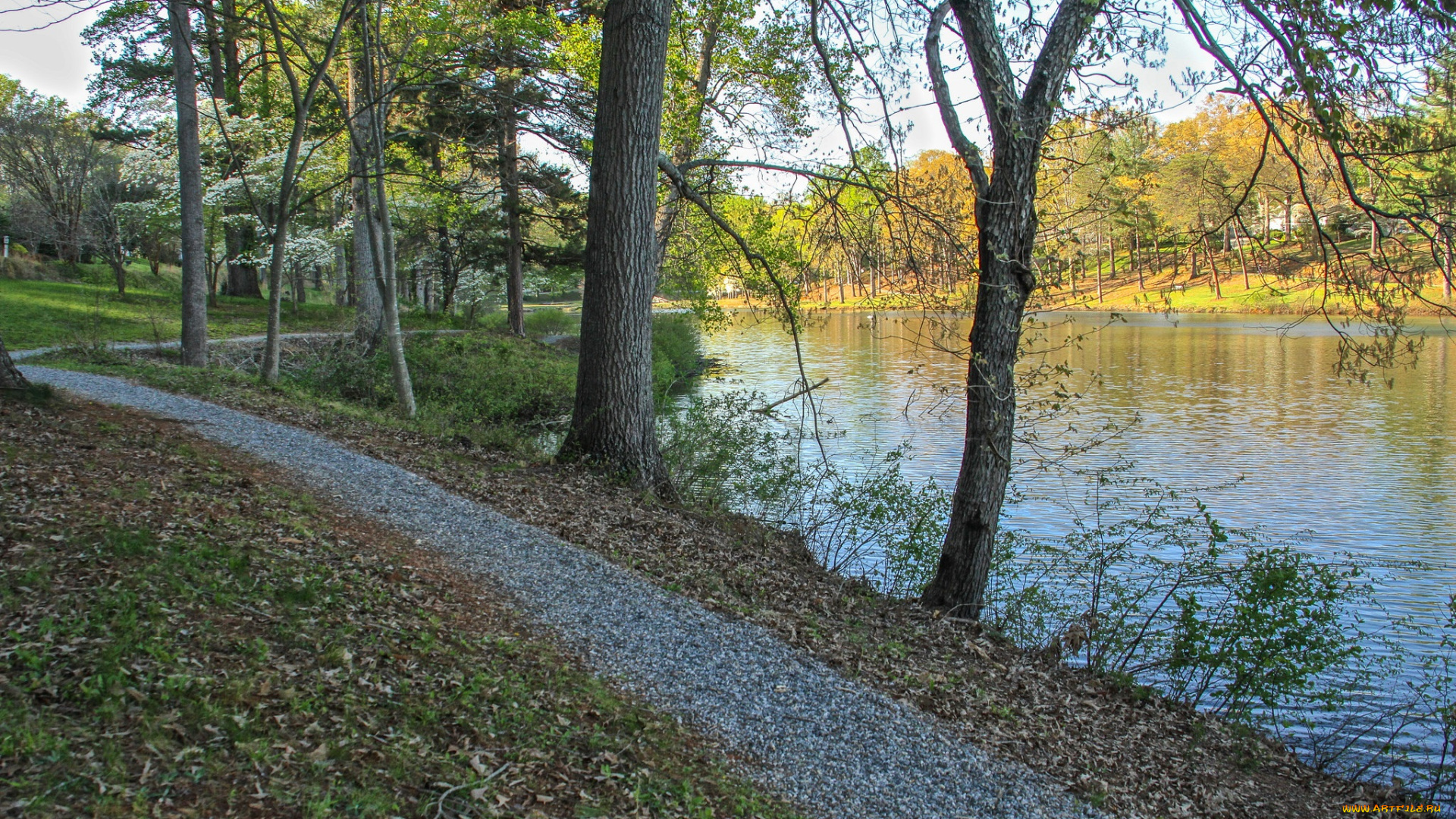 природа, дороги, дорожка, арка, лес