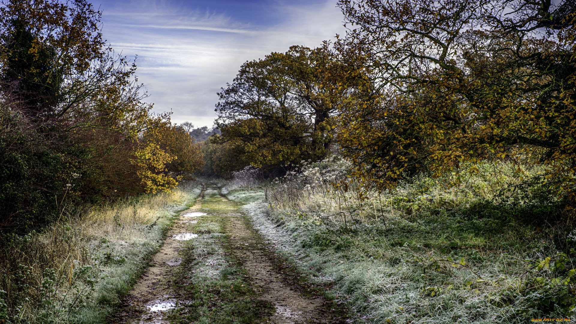 природа, дороги, лес, иней, тракт