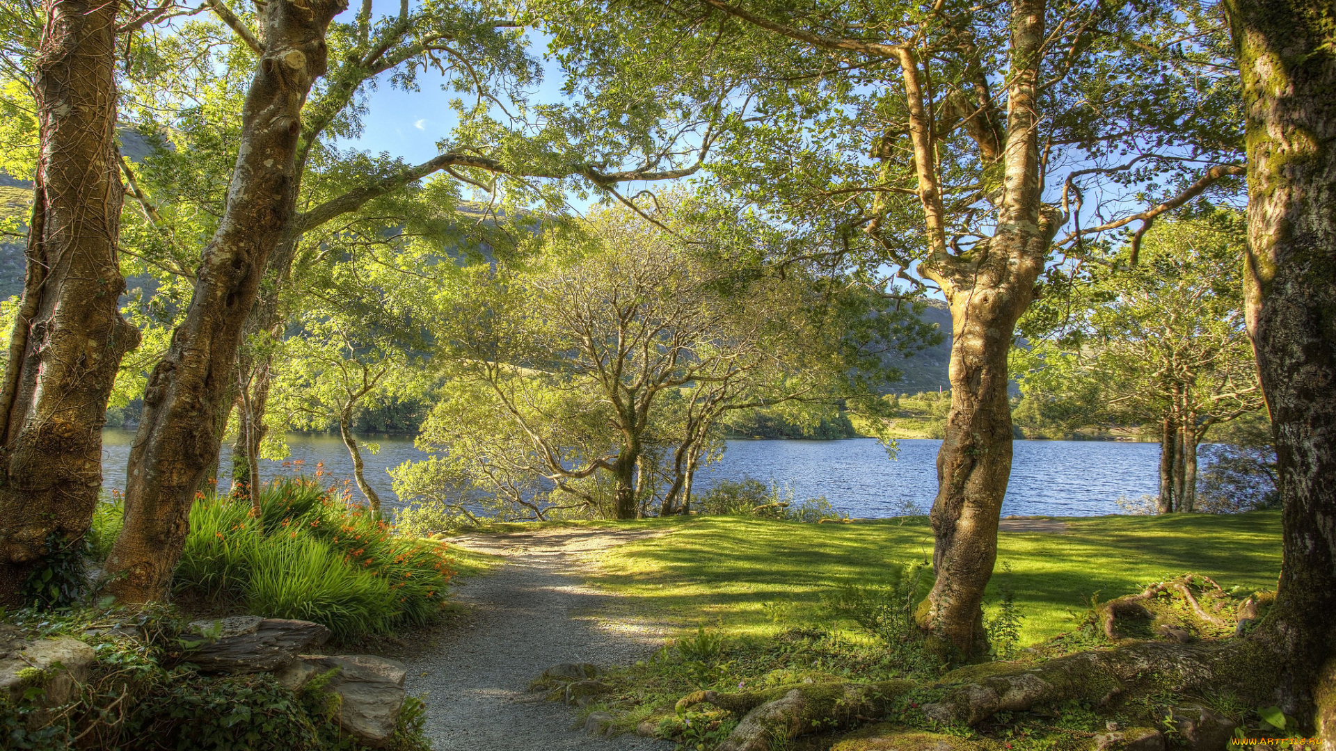 природа, дороги, лес, река, тропинка