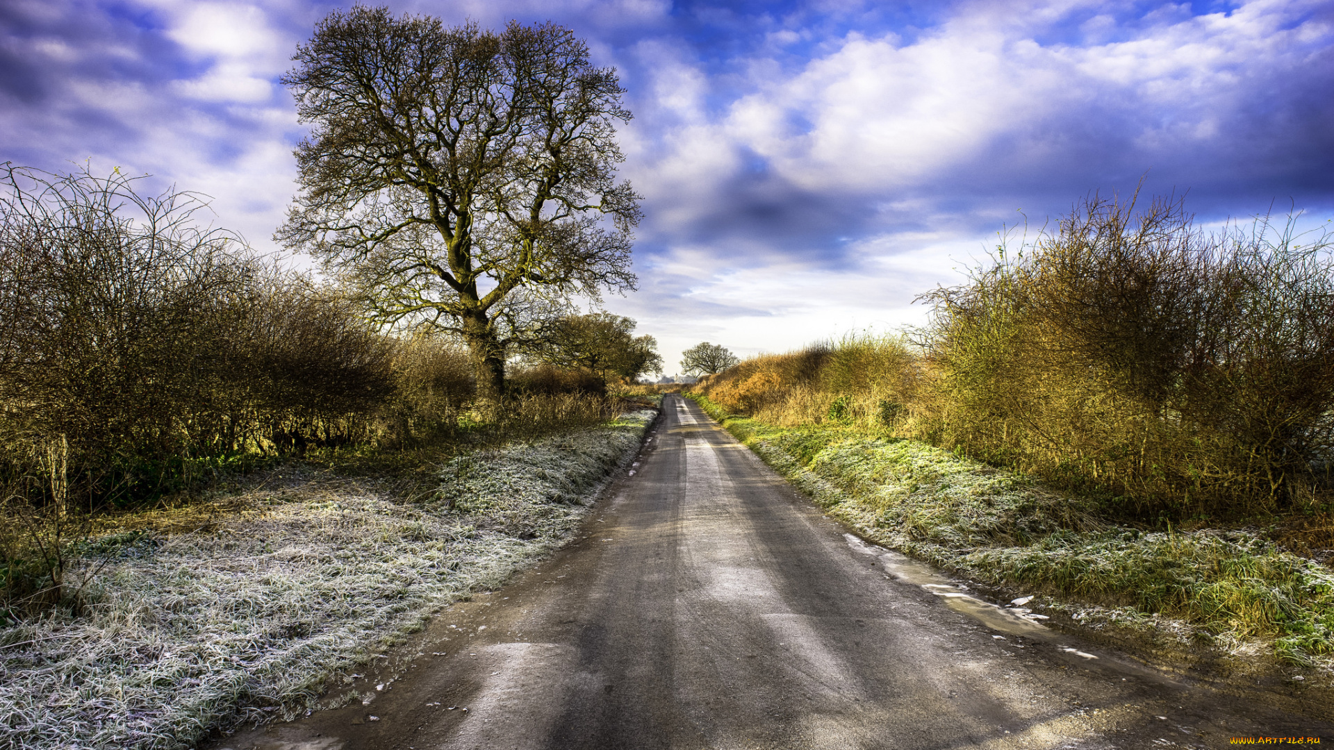 природа, дороги, тракт