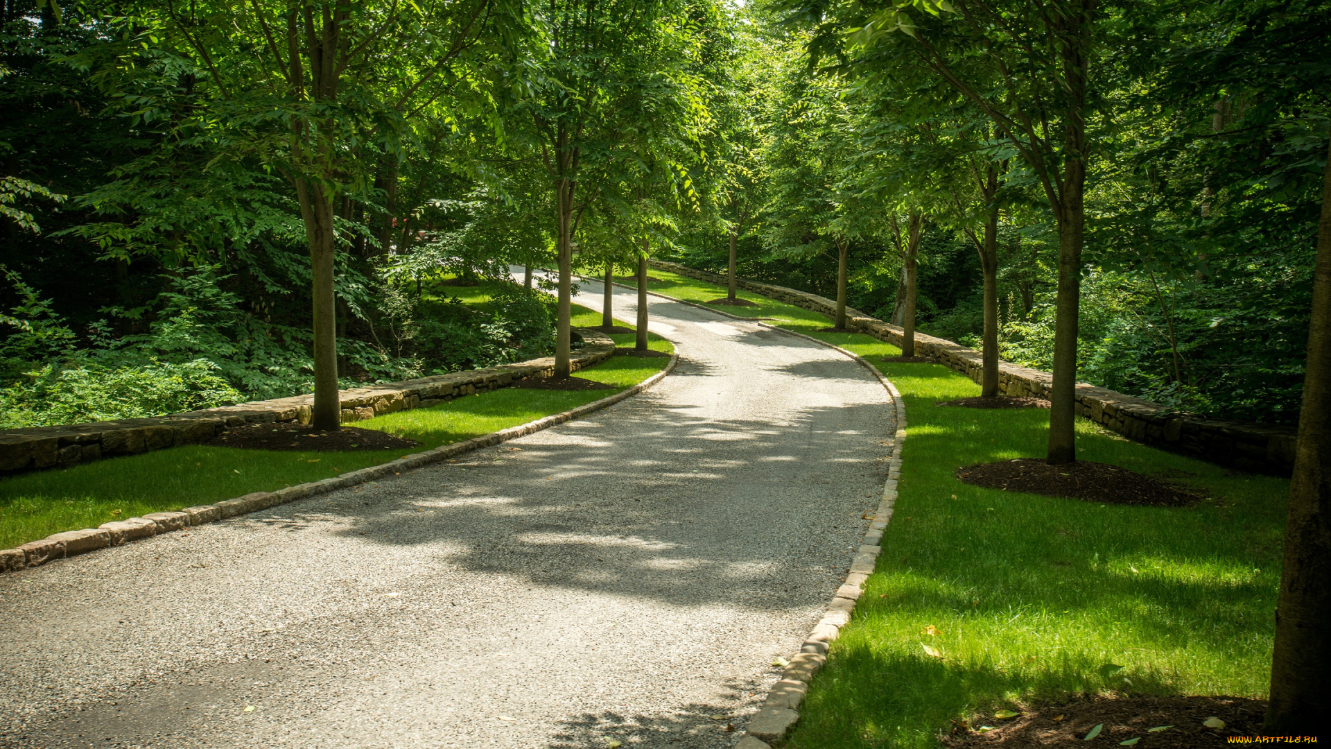 природа, дороги, трава, дорога, парк, conyers, farm, сша, аллея, зелень, деревья