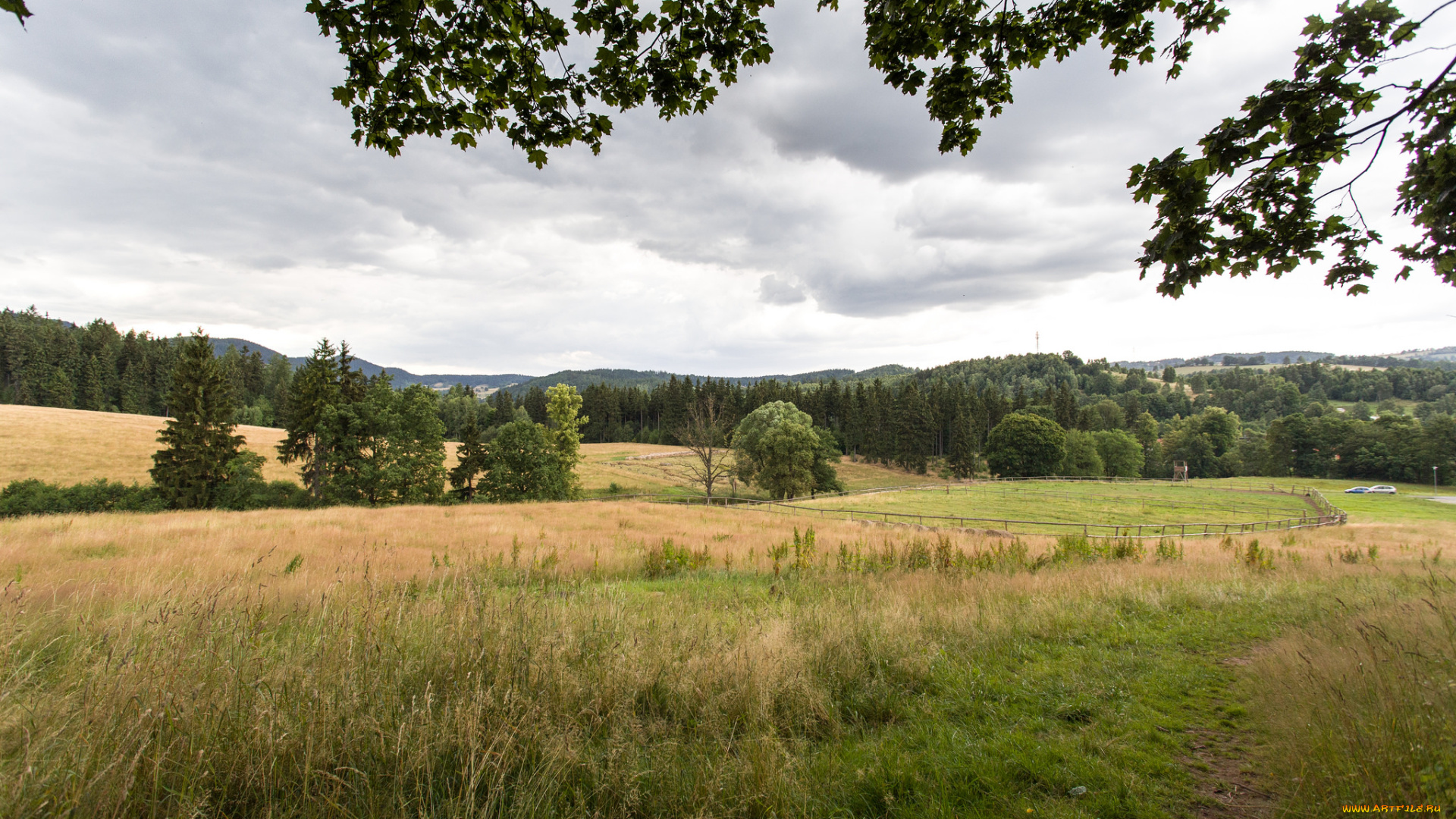 природа, дороги, тропинка, лес, трава, поле