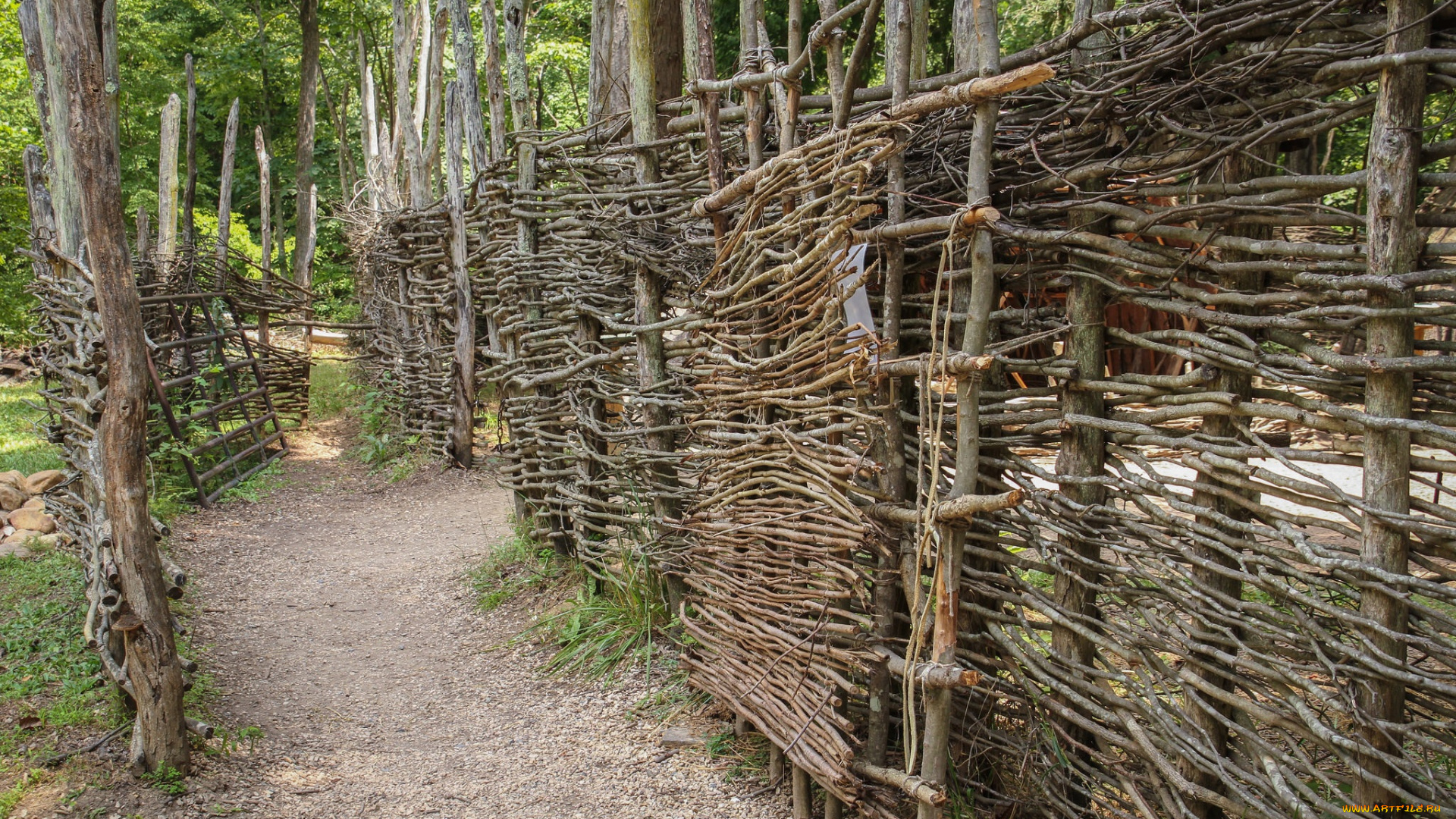 природа, дороги, тропинка, плетень