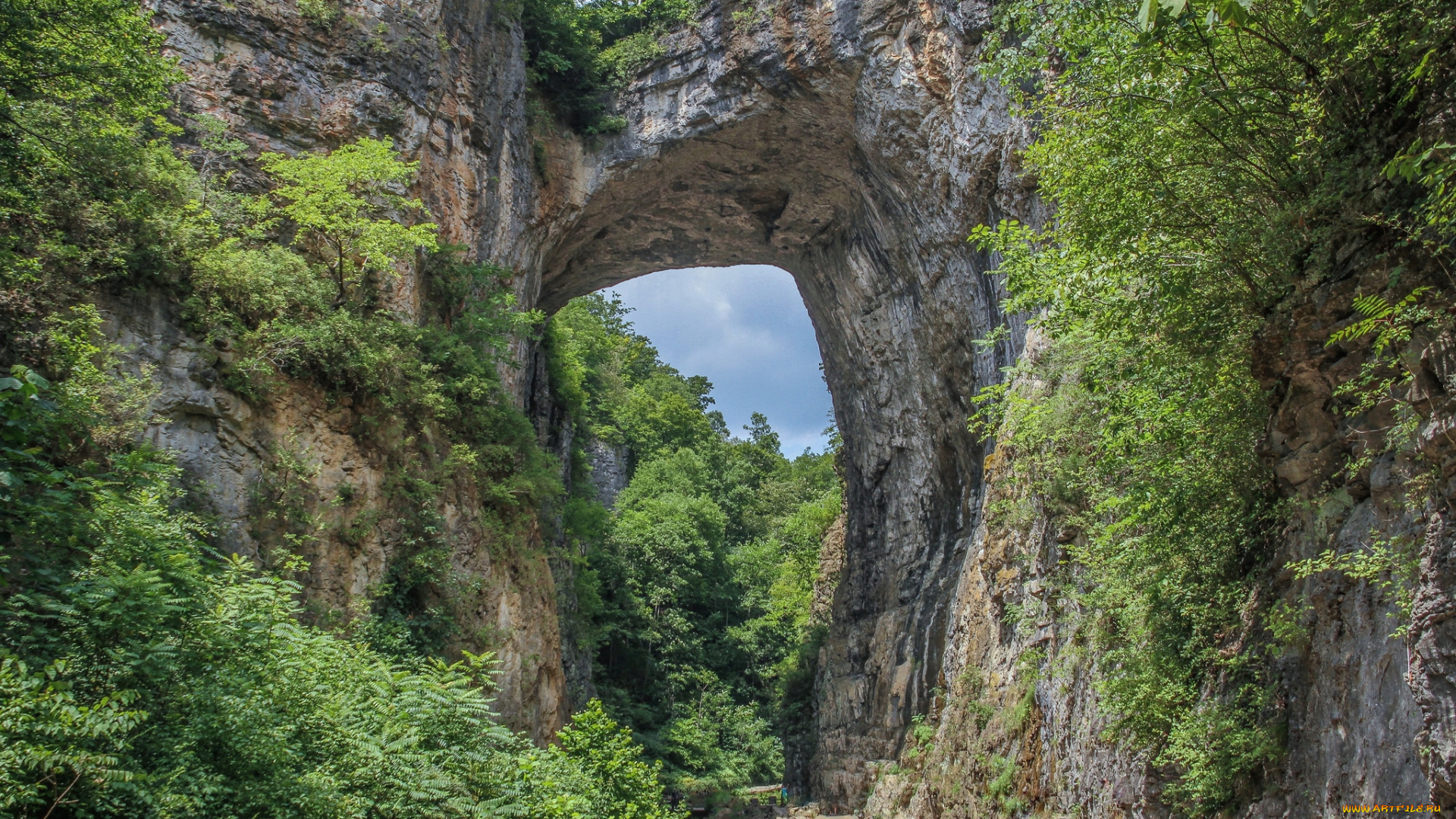 природа, горы, лес, арка, скалы