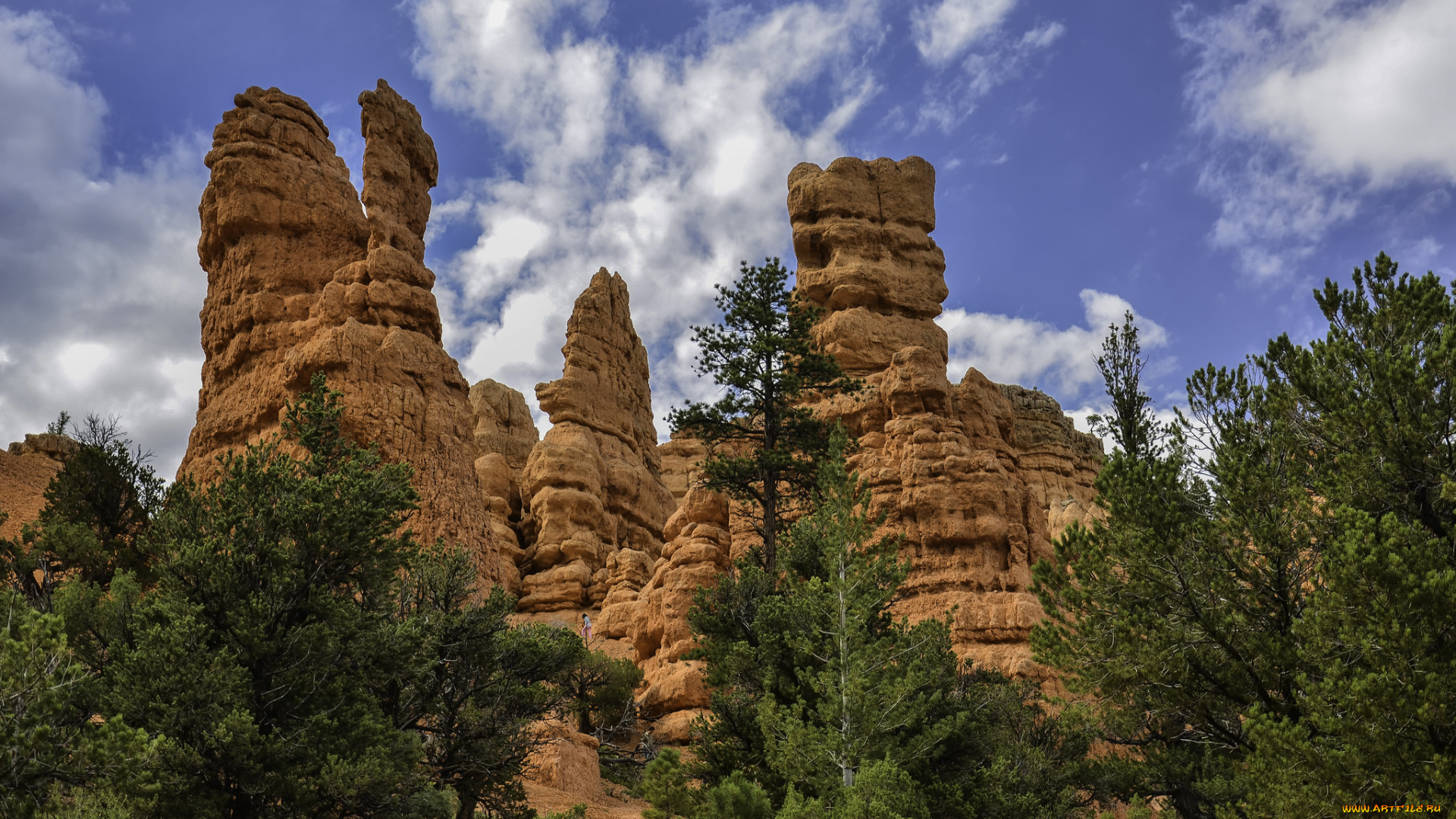 природа, горы, лес, скалы