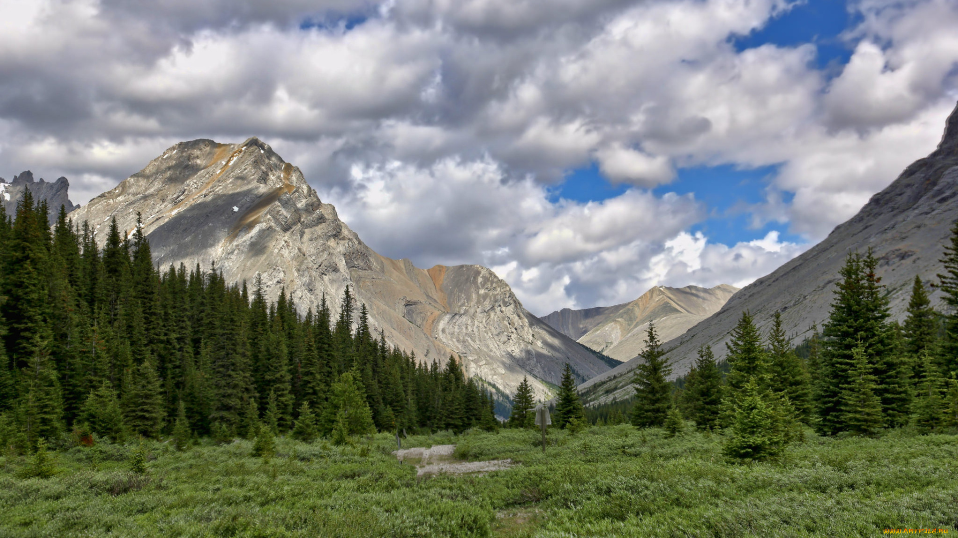 природа, горы, речка, лес, ложбина