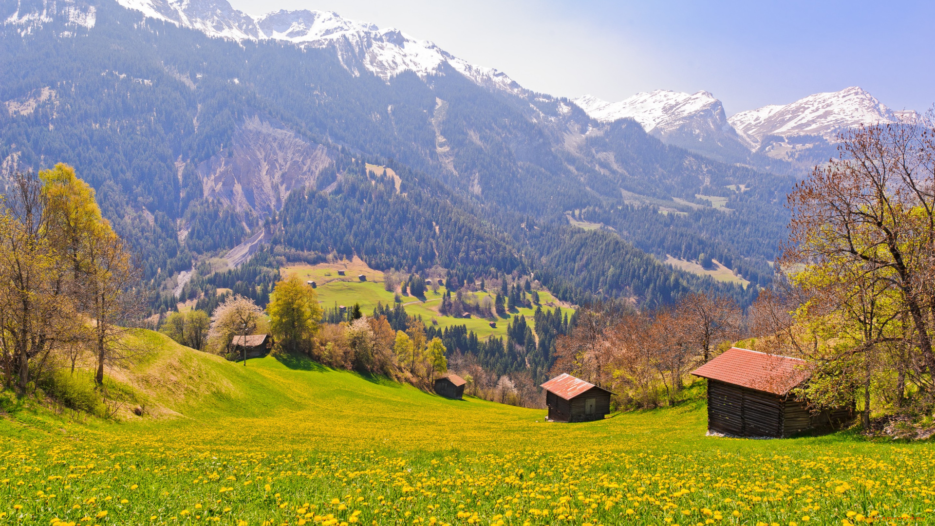 природа, горы, switzerland, деревня, склон, деревья, швейцария, поле