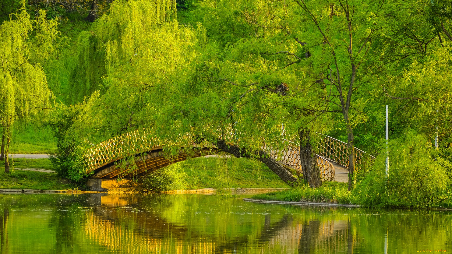 природа, парк, лес, река, мост