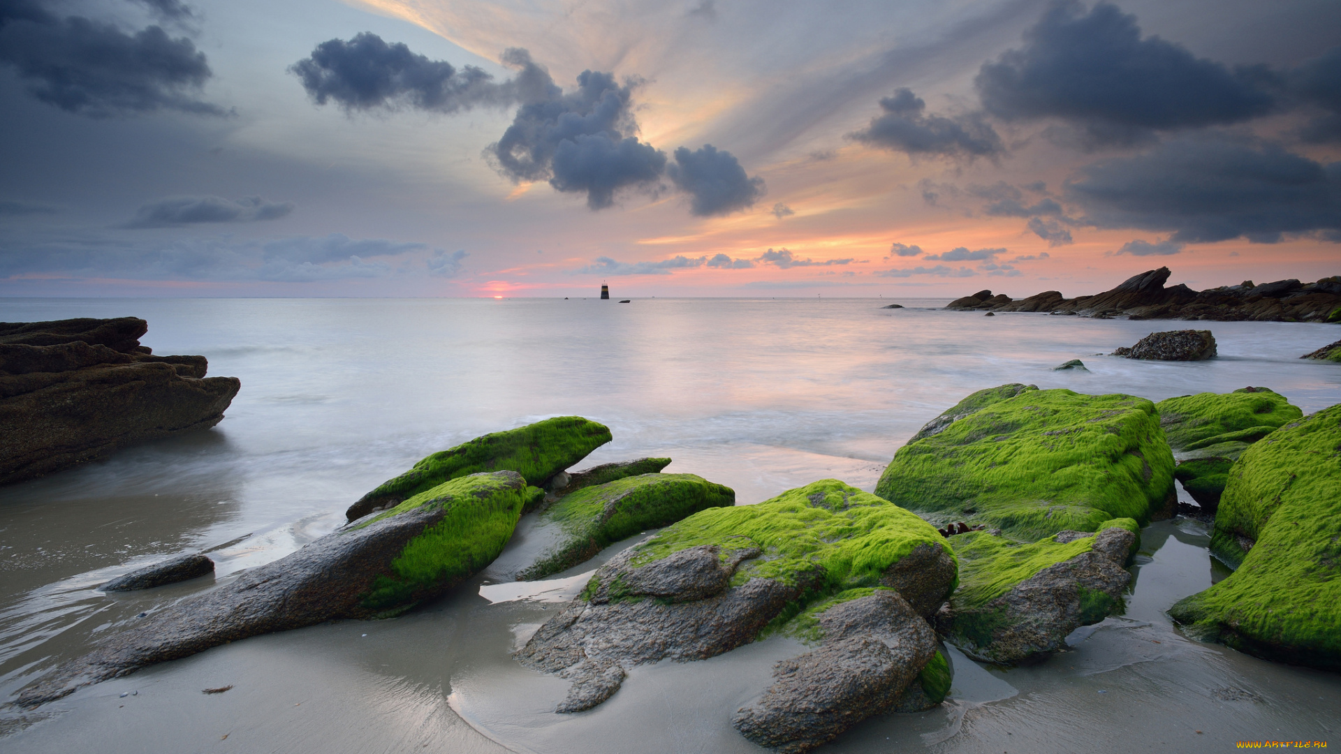 природа, побережье, море, закат, тучи, водоросли, камни, небо