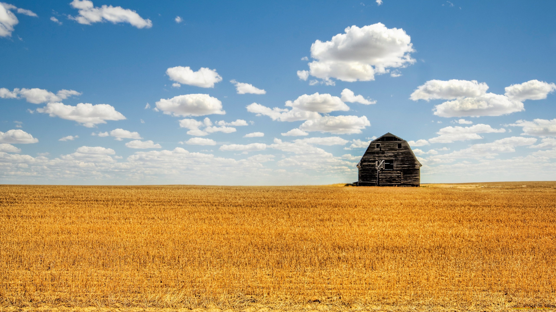 природа, поля, облака, небо, сарай, поле