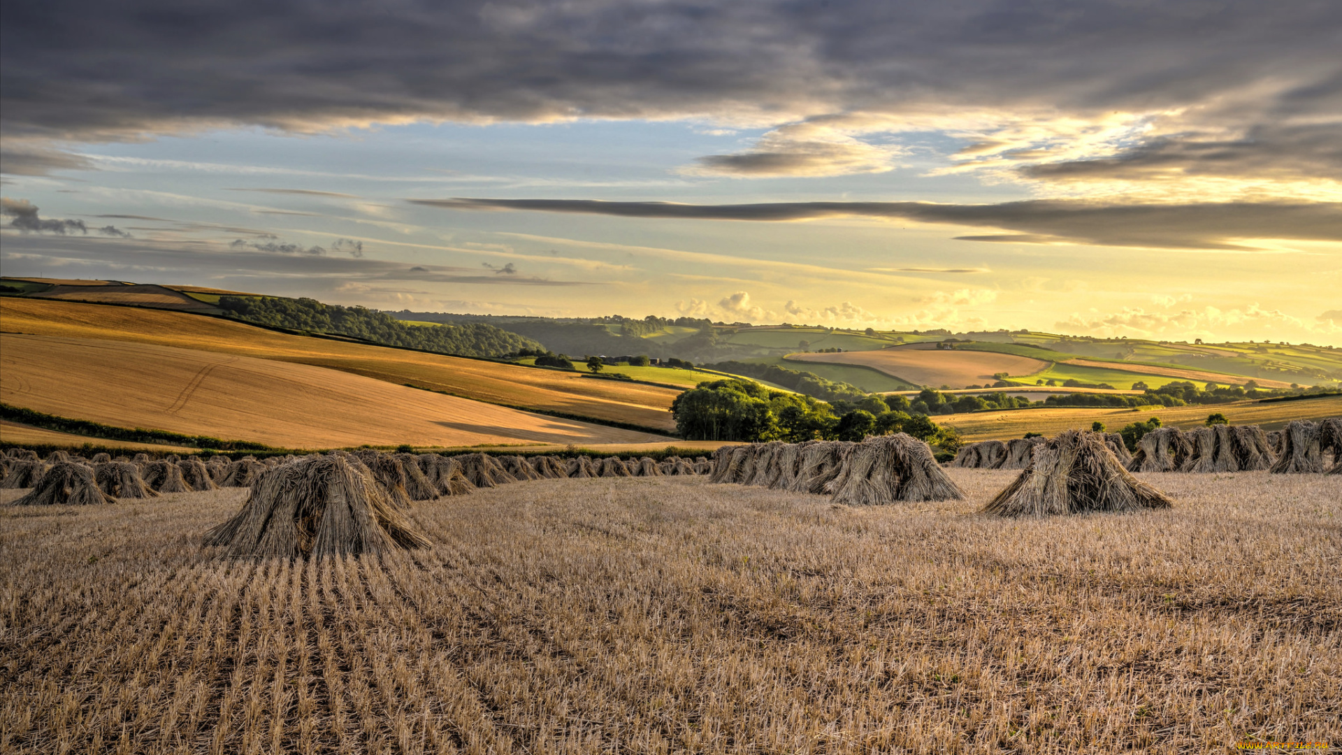 природа, поля, вечер, поле, сено