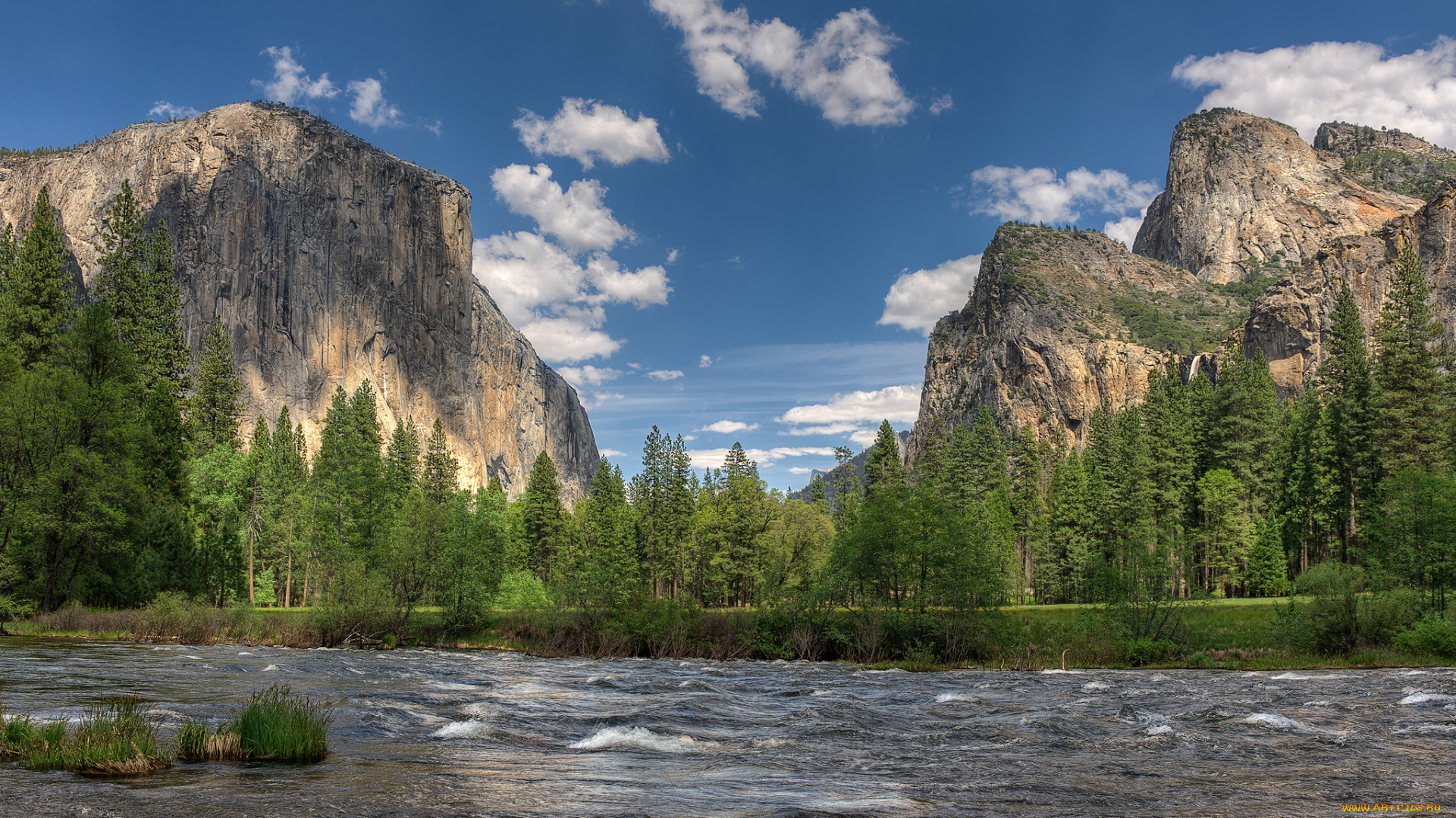 природа, реки, озера, горы, река, лес