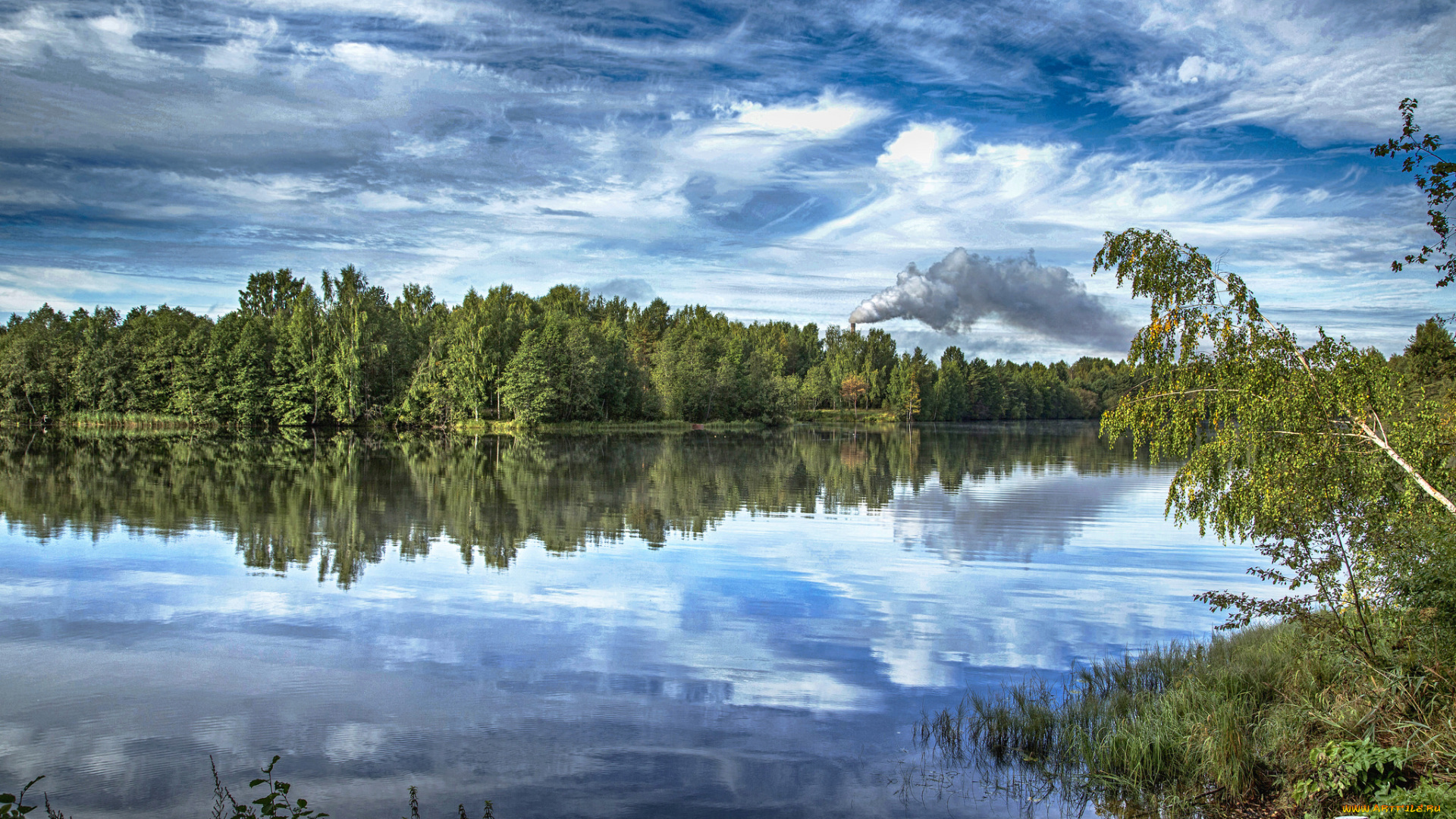 природа, реки, озера, лес, река