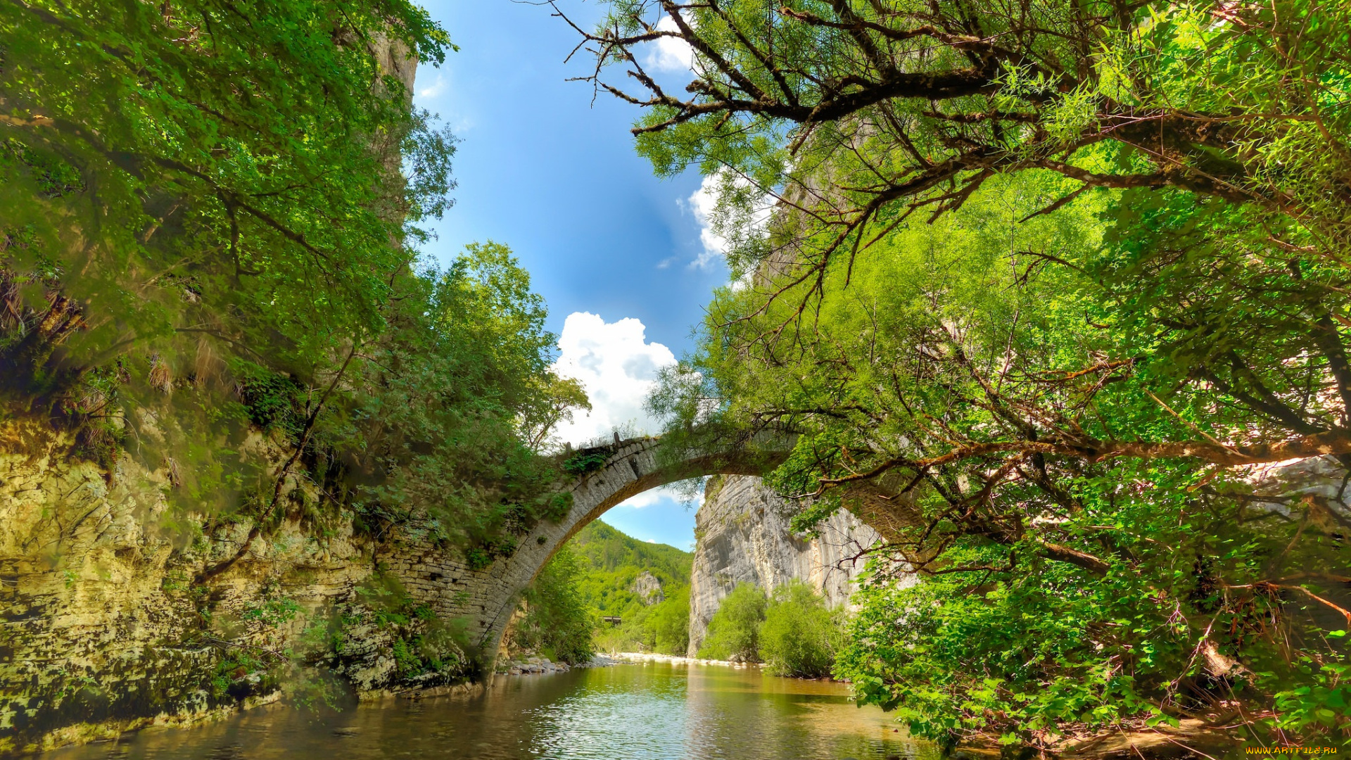 природа, реки, озера, лес, река, мост