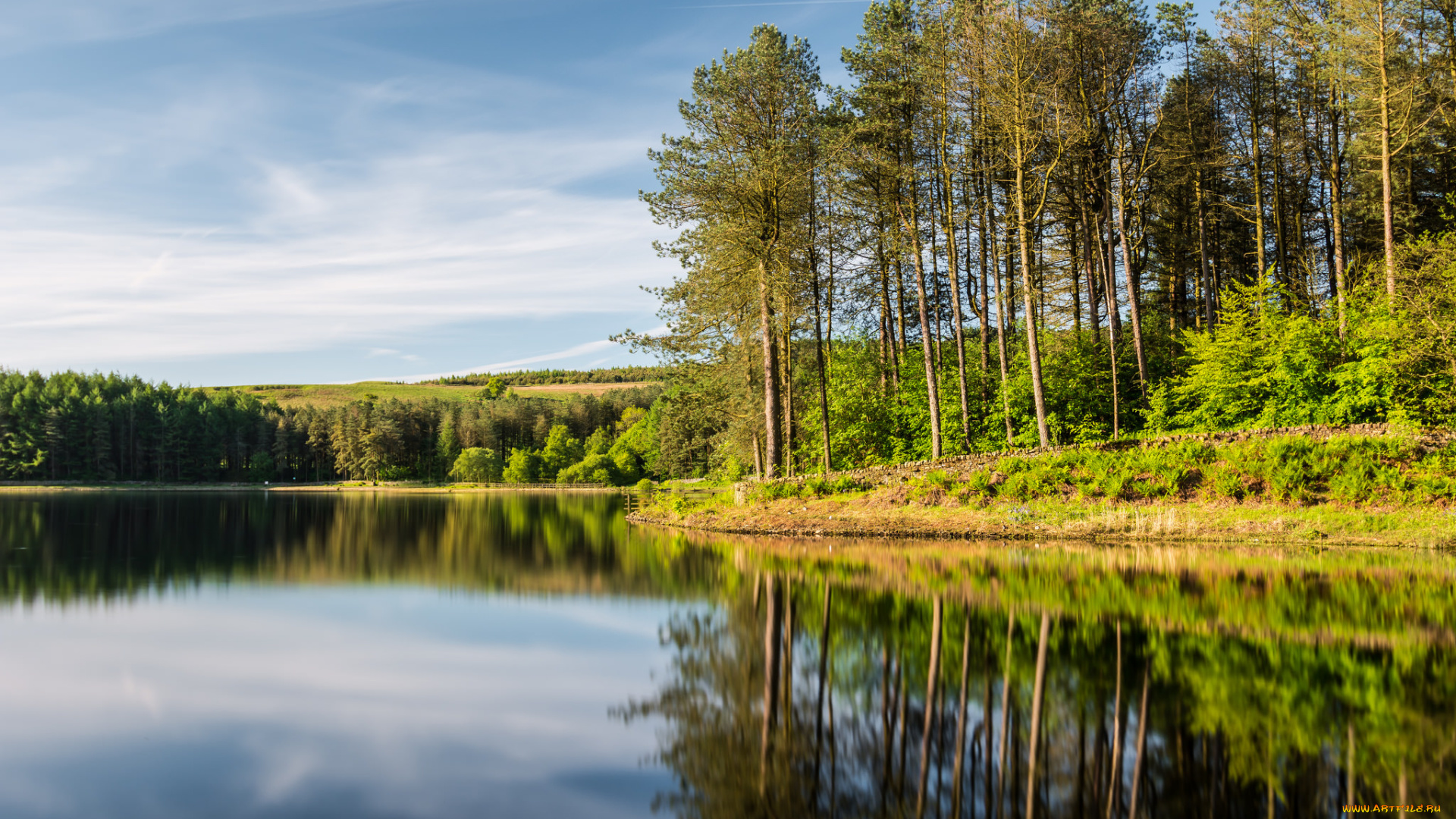 природа, реки, озера, река, лес
