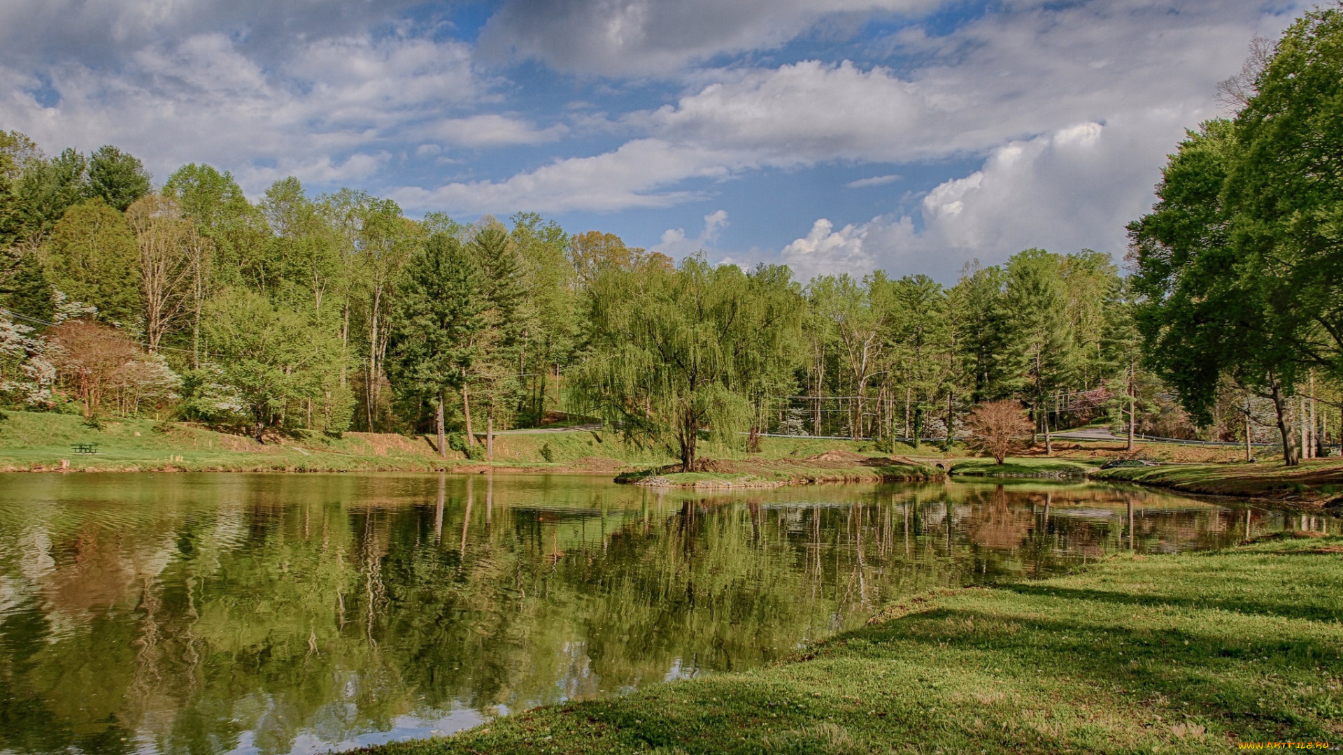 природа, реки, озера, река, лес