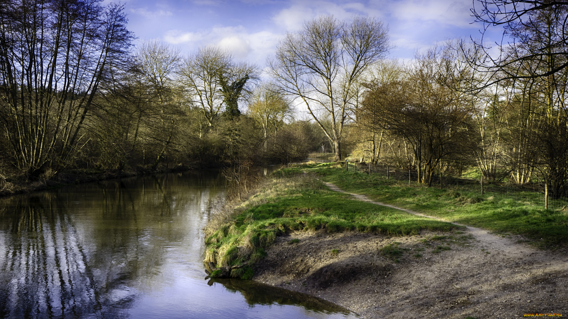 природа, реки, озера, река, лес