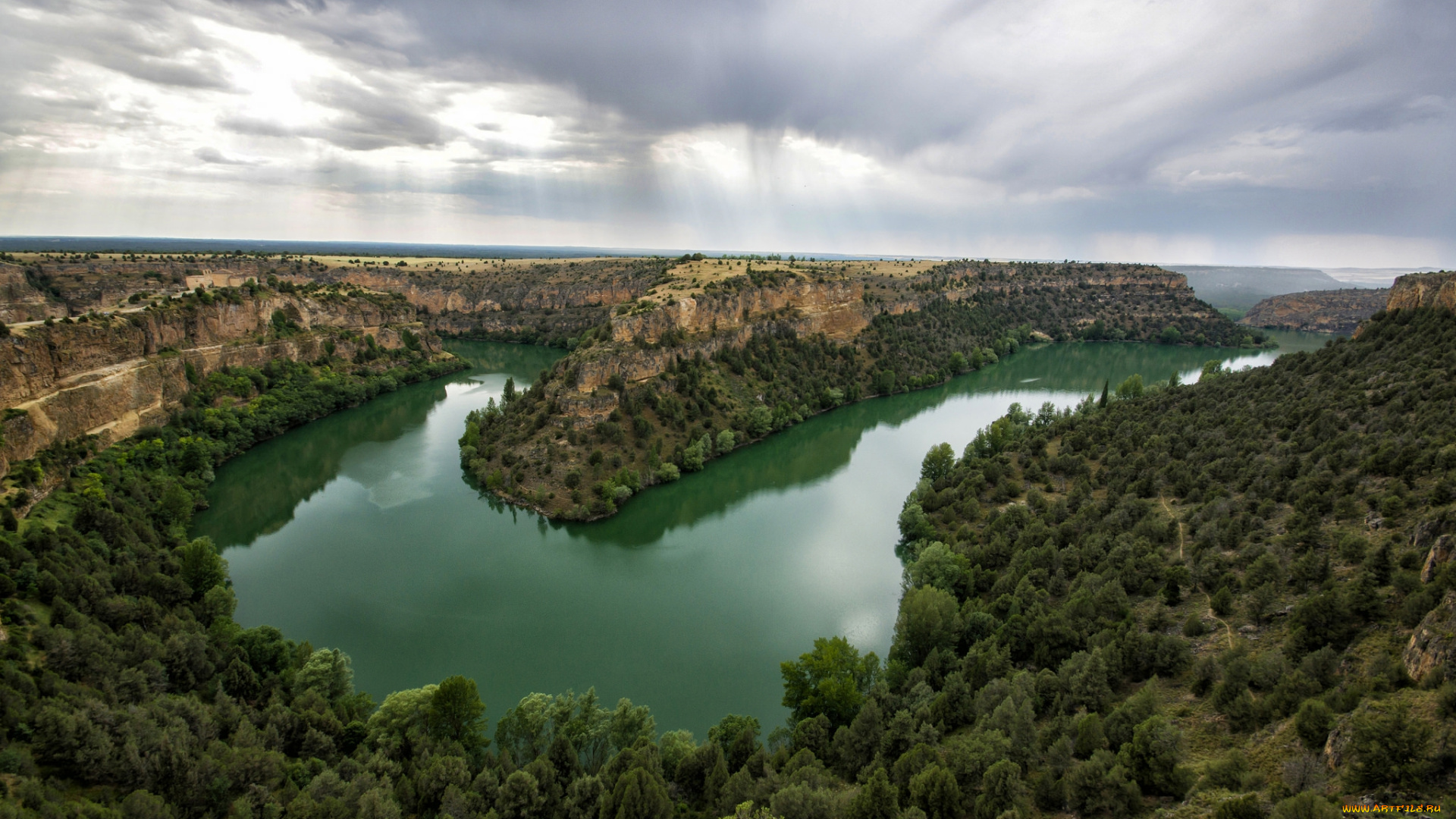 природа, реки, озера, река, лес