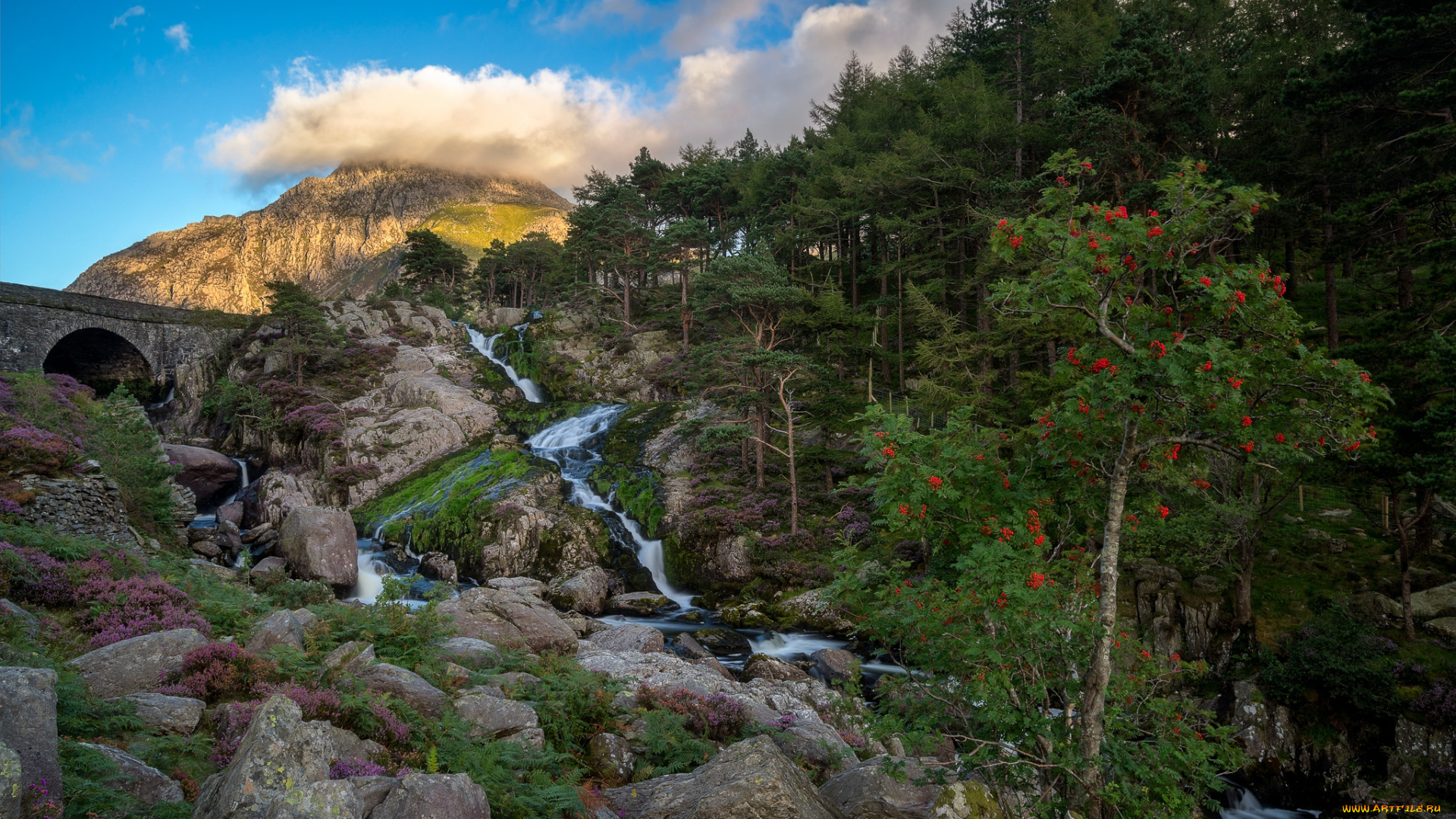 природа, реки, озера, река, лес, горы