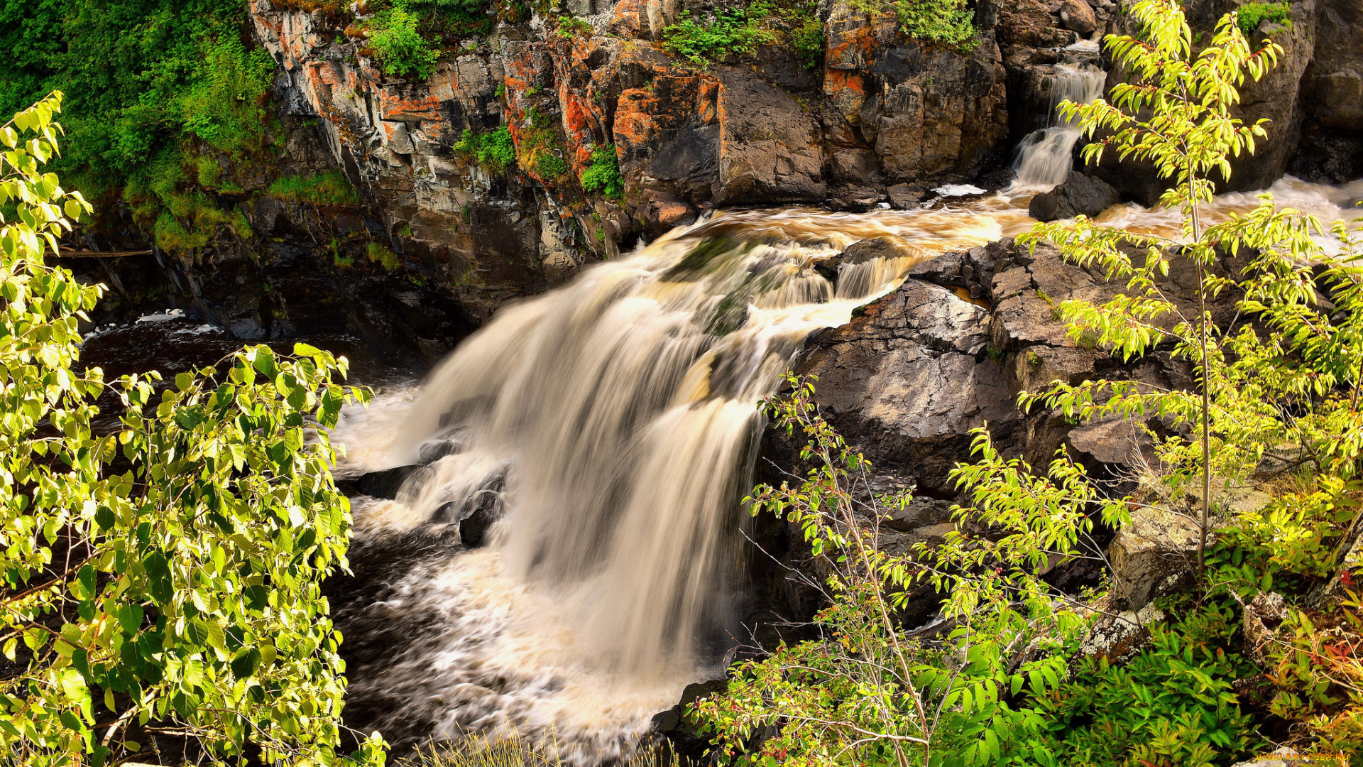 природа, водопады, лес, река, водопад