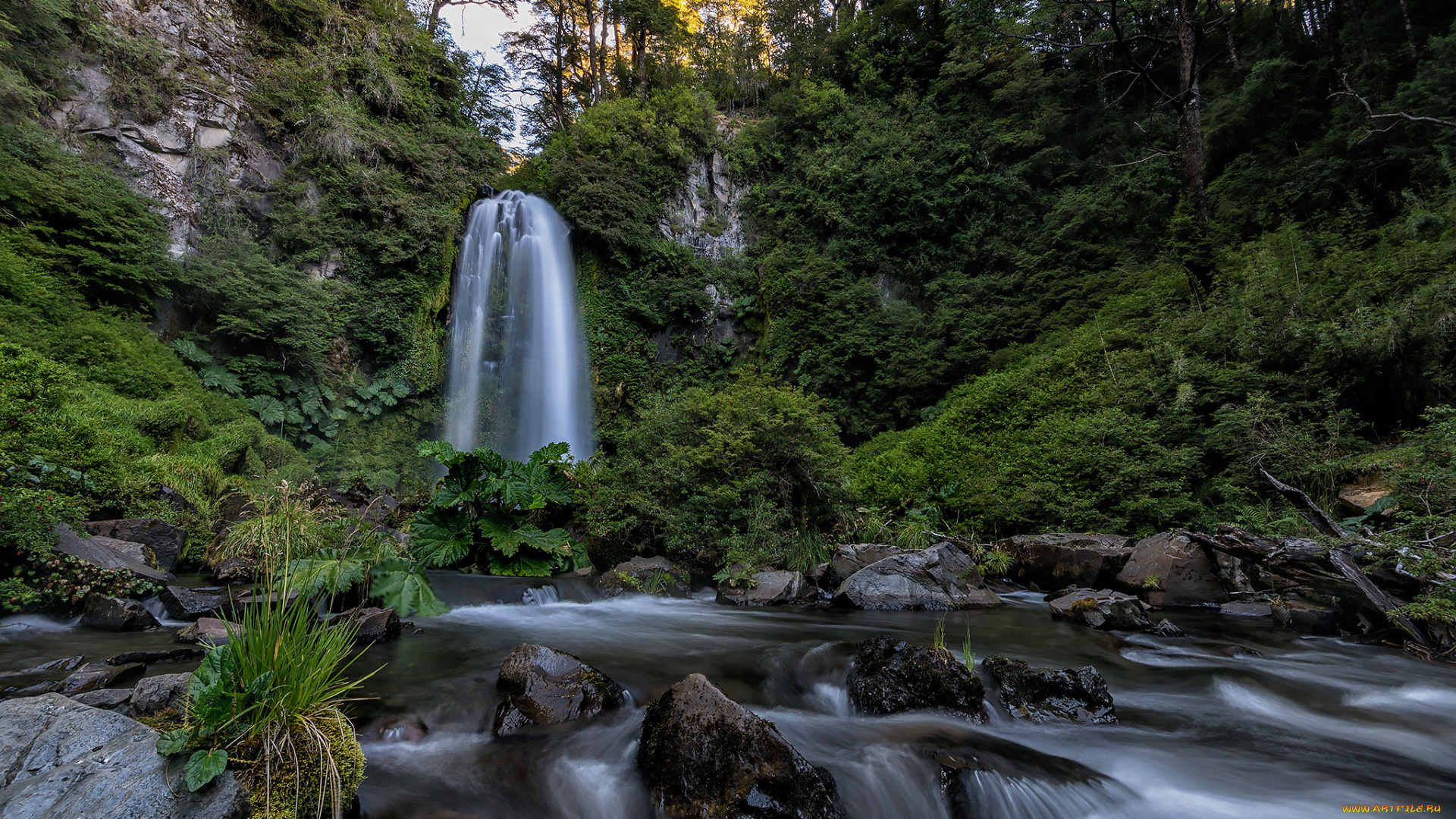 природа, водопады, река, водопад, лес