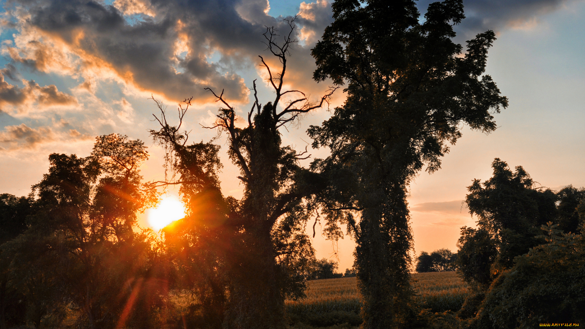 природа, восходы, закаты, закат
