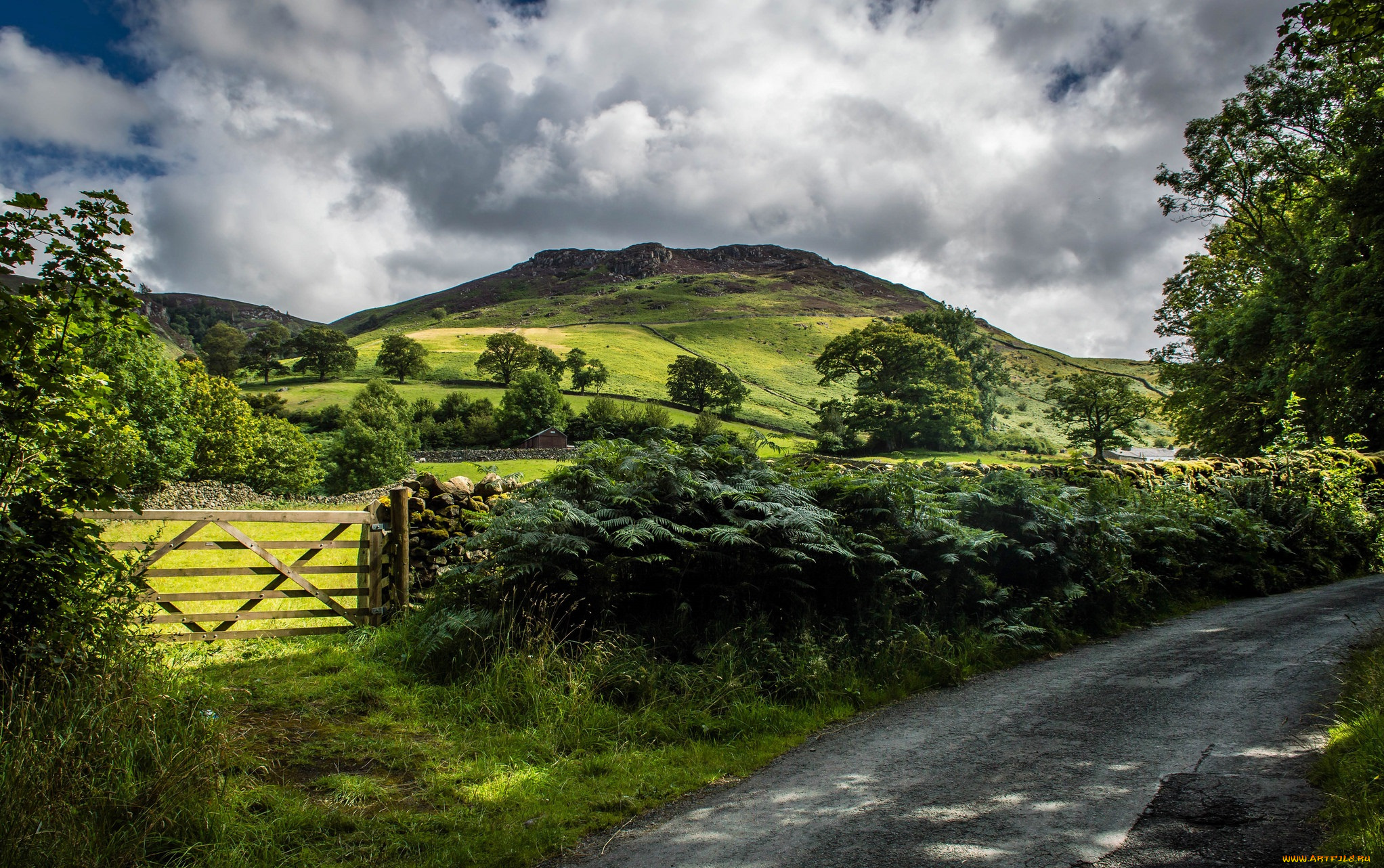 природа, дороги, холмы, дорога, калитка