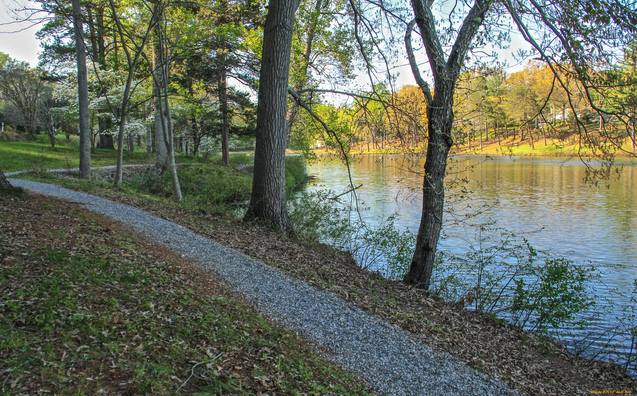 природа, дороги, дорожка, арка, лес