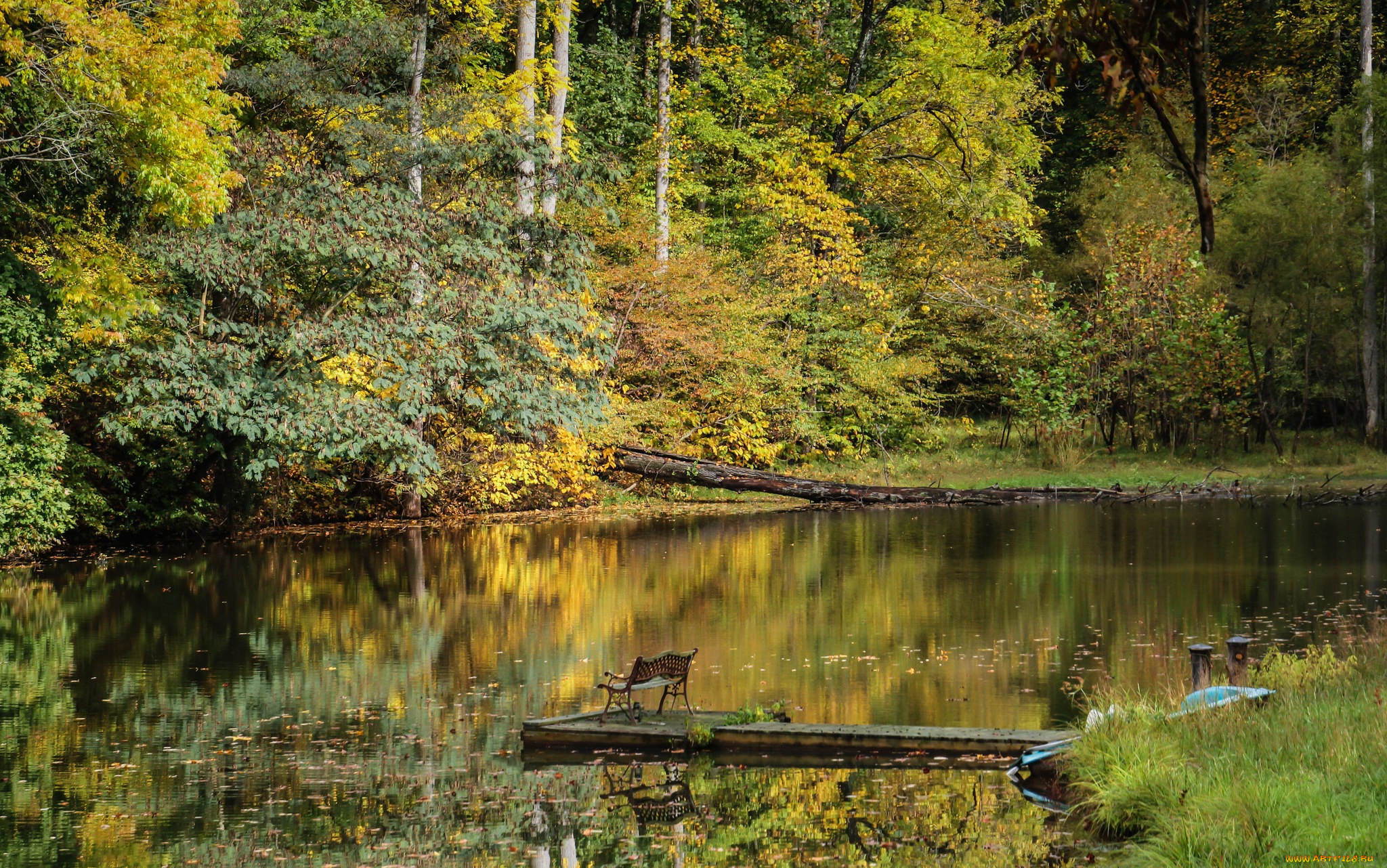 природа, реки, озера, река, лес