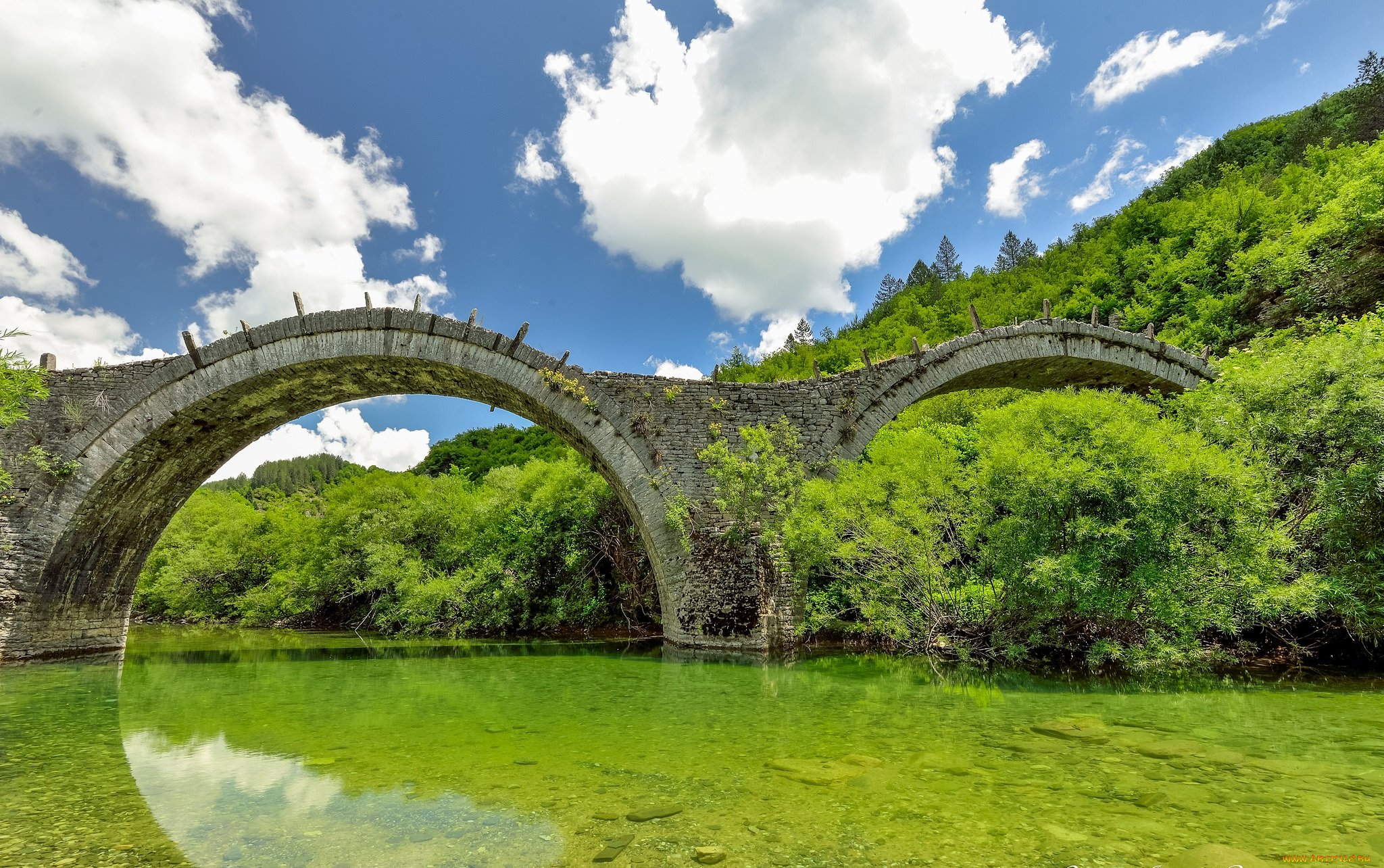 природа, реки, озера, лес, река, мост