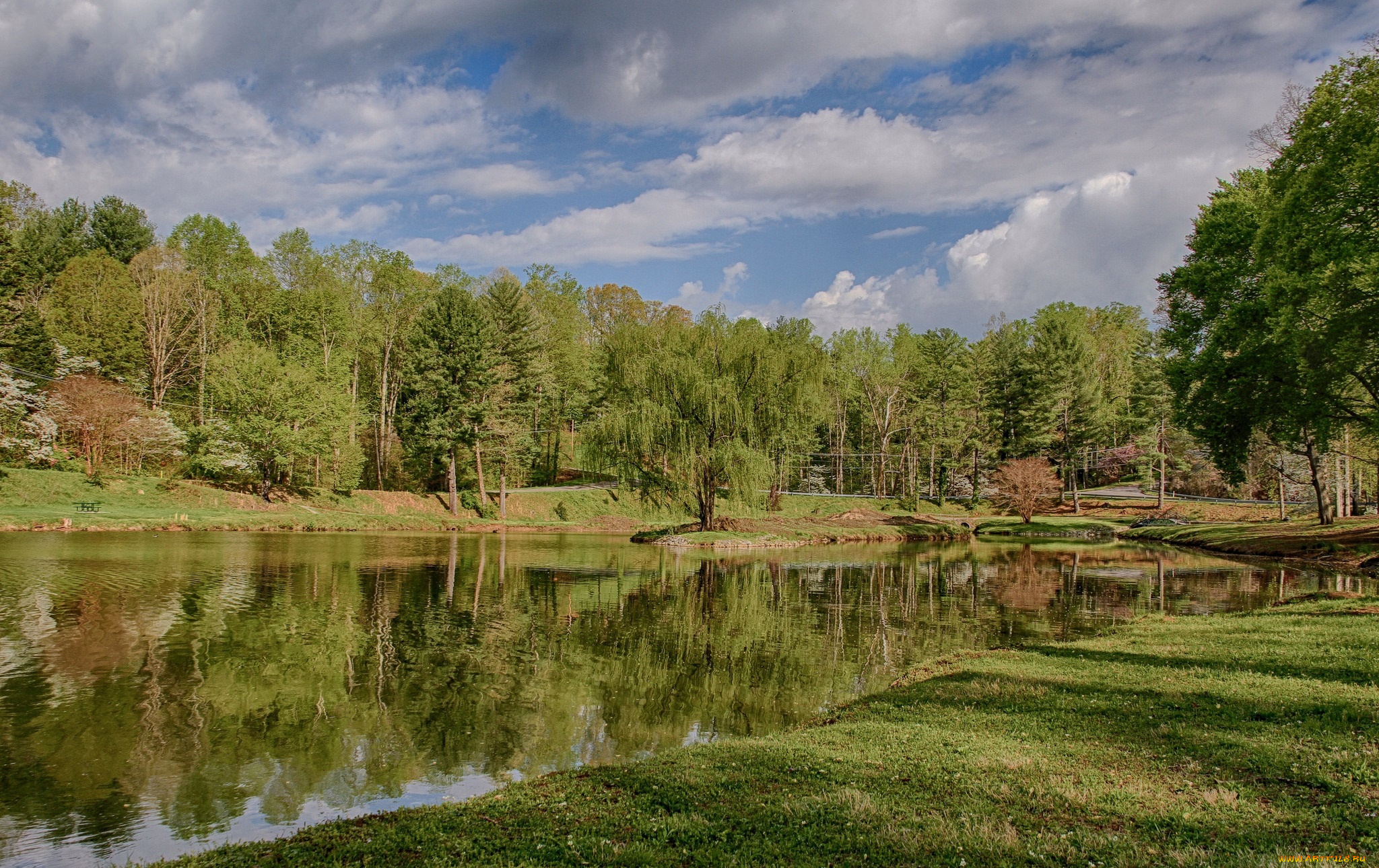 природа, реки, озера, река, лес