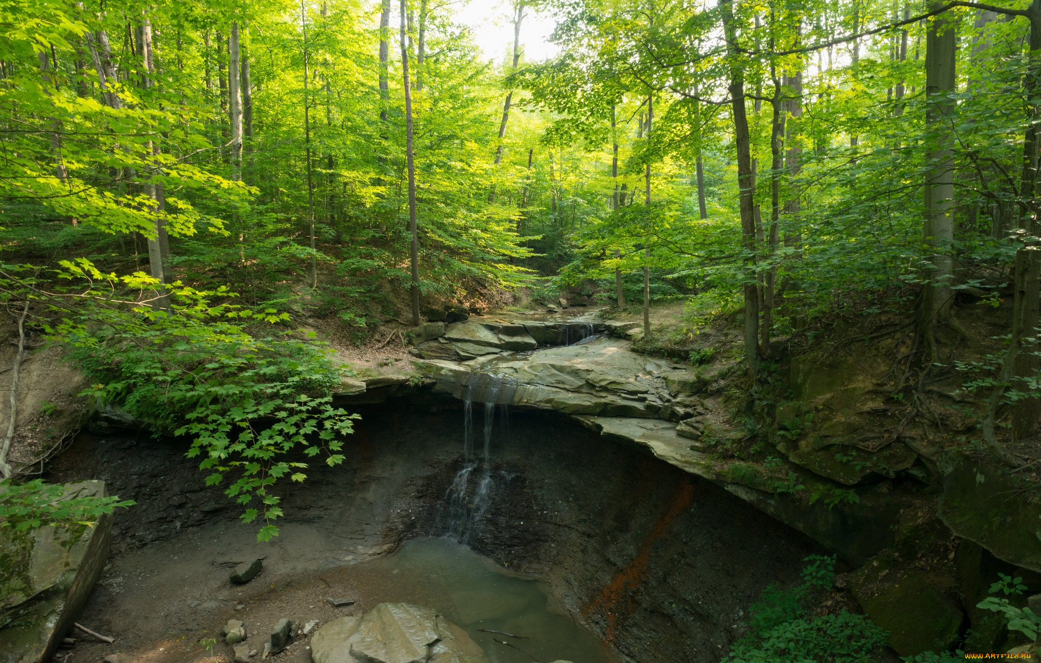 природа, водопады, ручей, лес, водопад