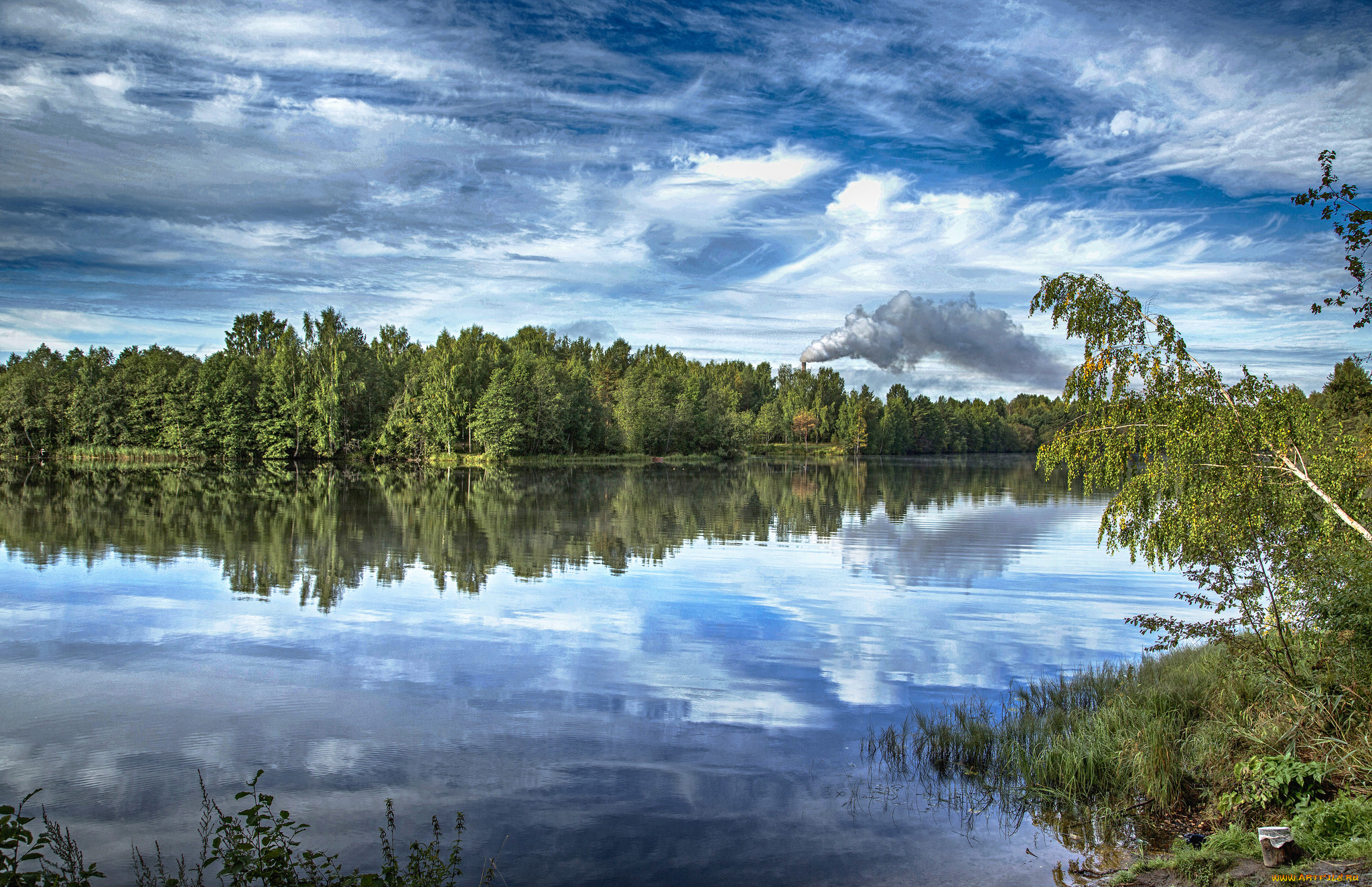 природа, реки, озера, лес, река