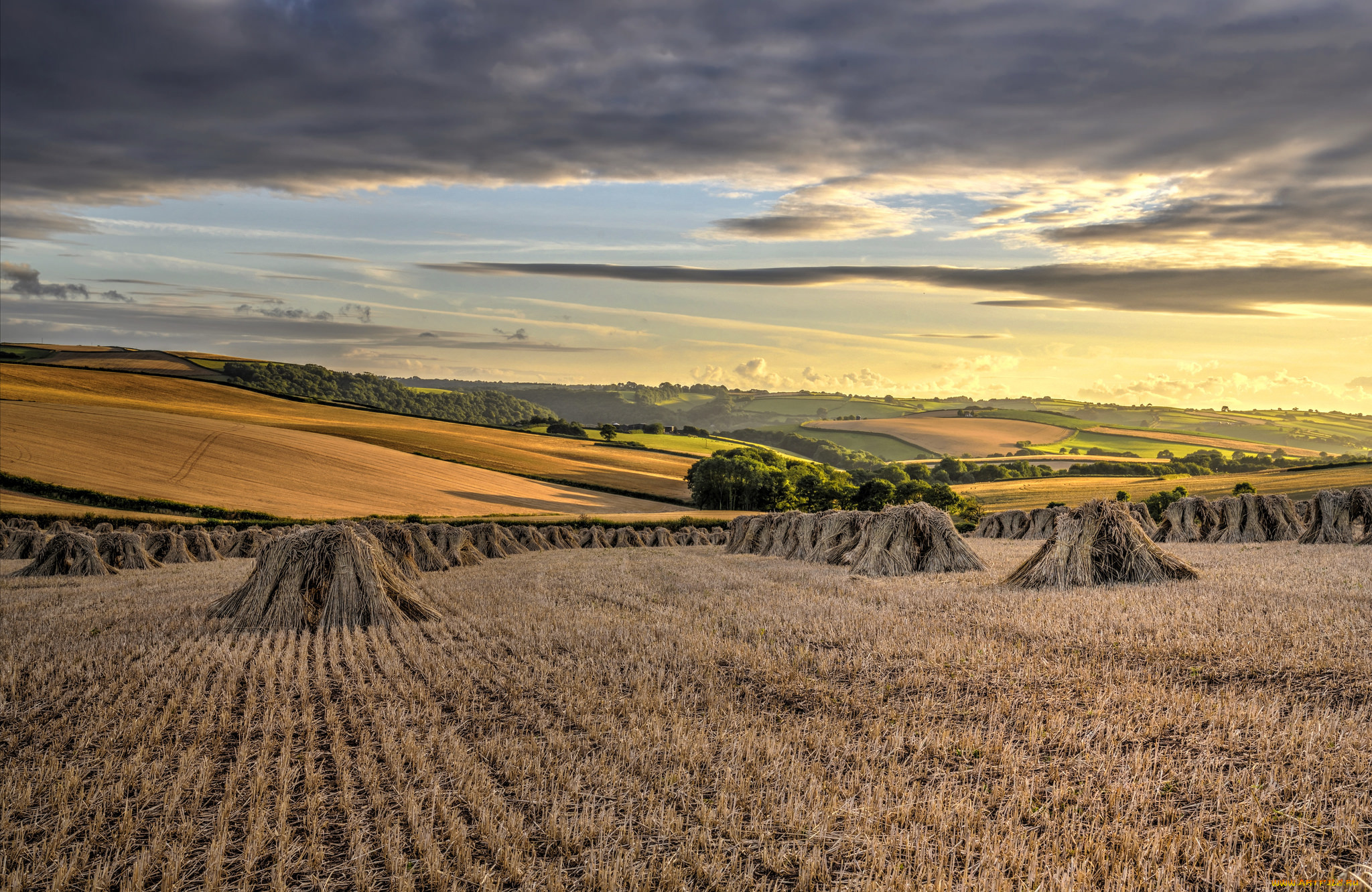 природа, поля, вечер, поле, сено