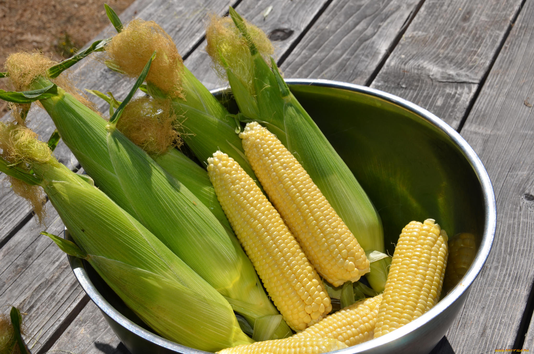 еда, кукуруза, початки