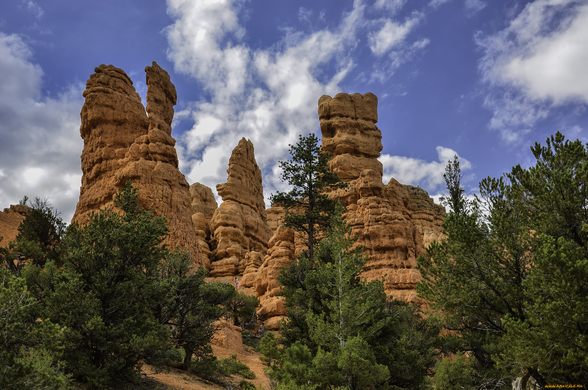 природа, горы, лес, скалы